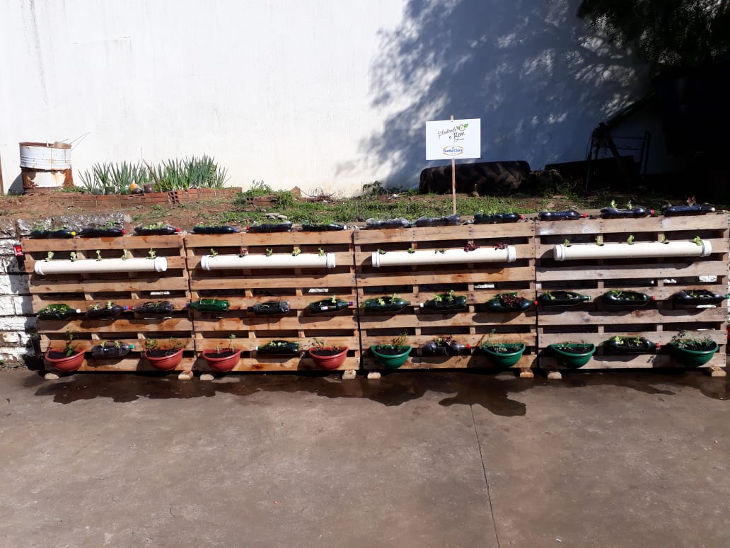 Santa Clara | Plantando o Bem