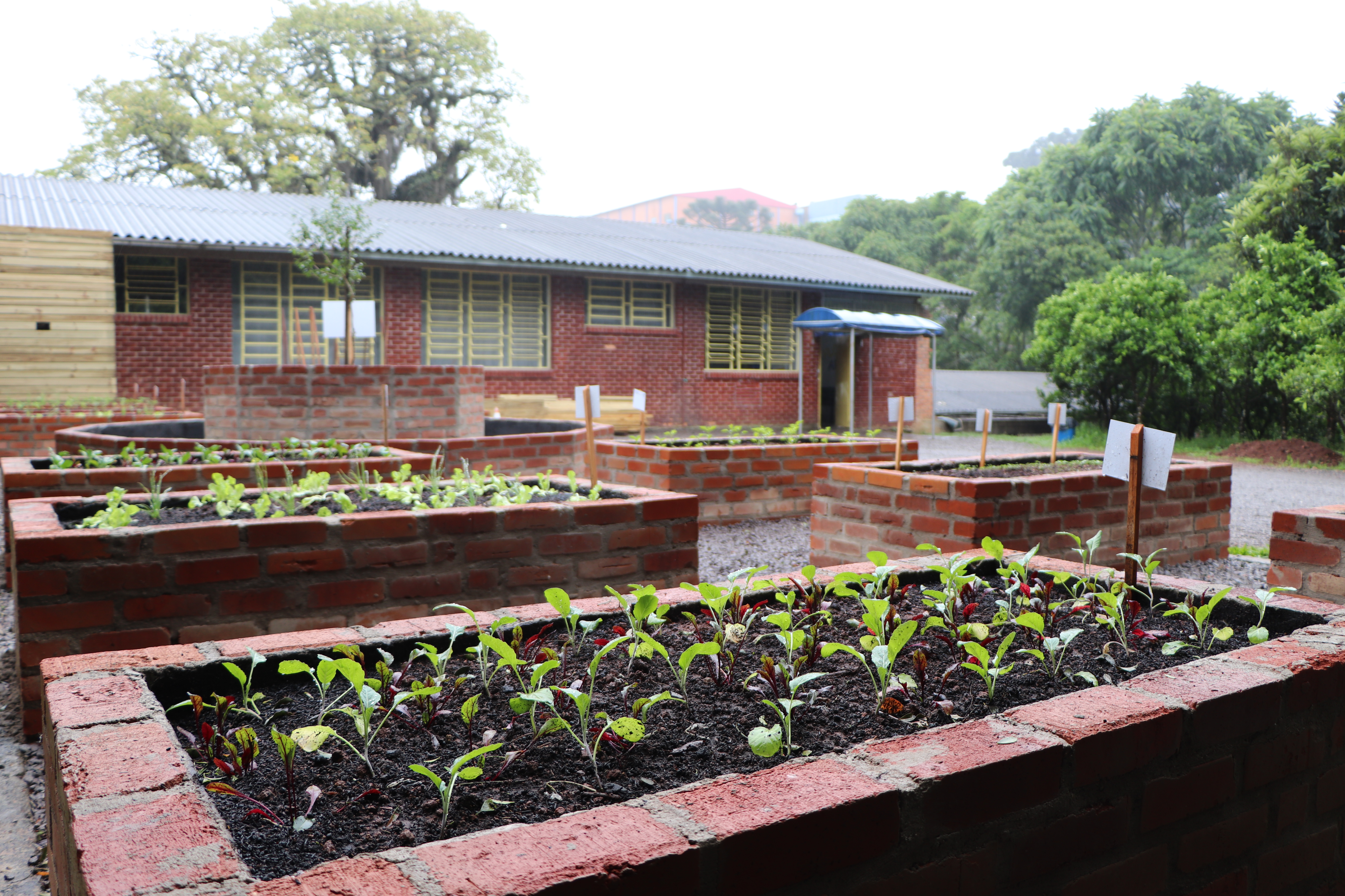 Santa Clara | Plantando o Bem
