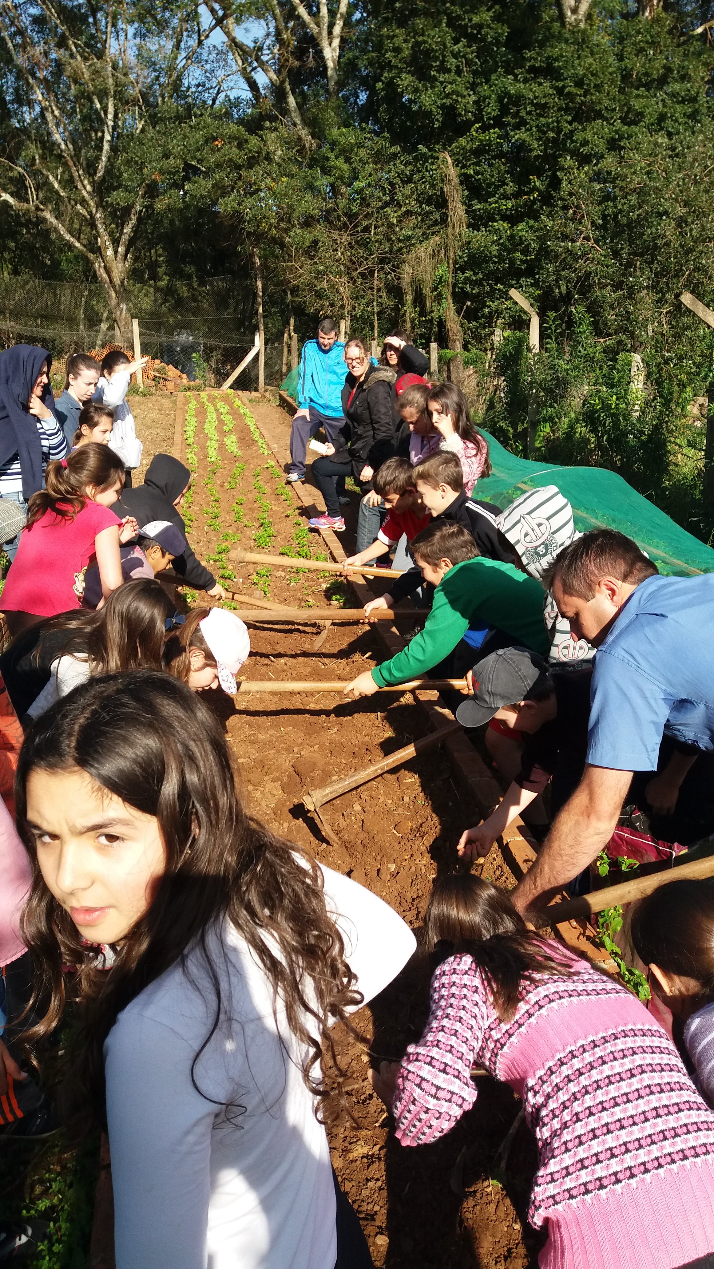 Santa Clara | Plantando o Bem