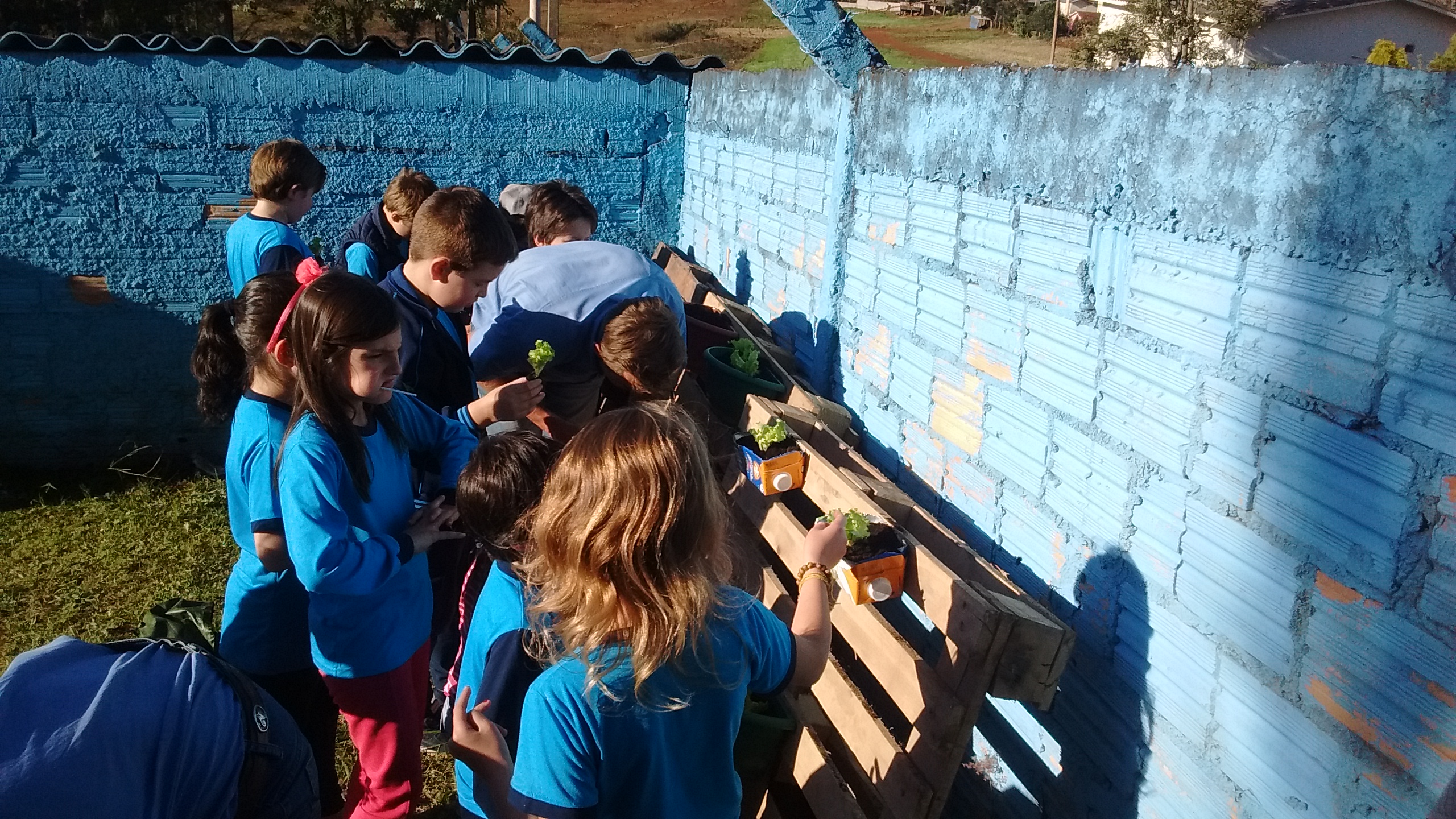 Santa Clara | Plantando o Bem