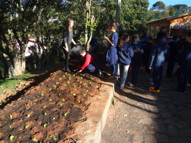Santa Clara | Plantando o Bem