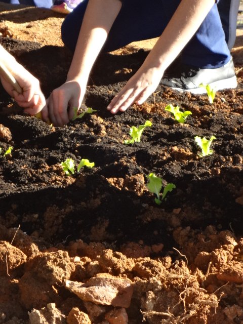 Santa Clara | Plantando o Bem