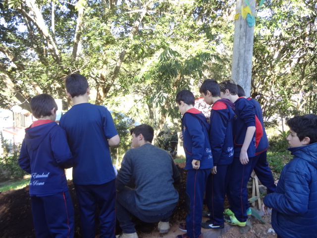Santa Clara | Plantando o Bem