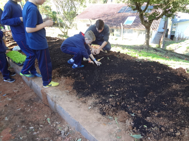 Santa Clara | Plantando o Bem