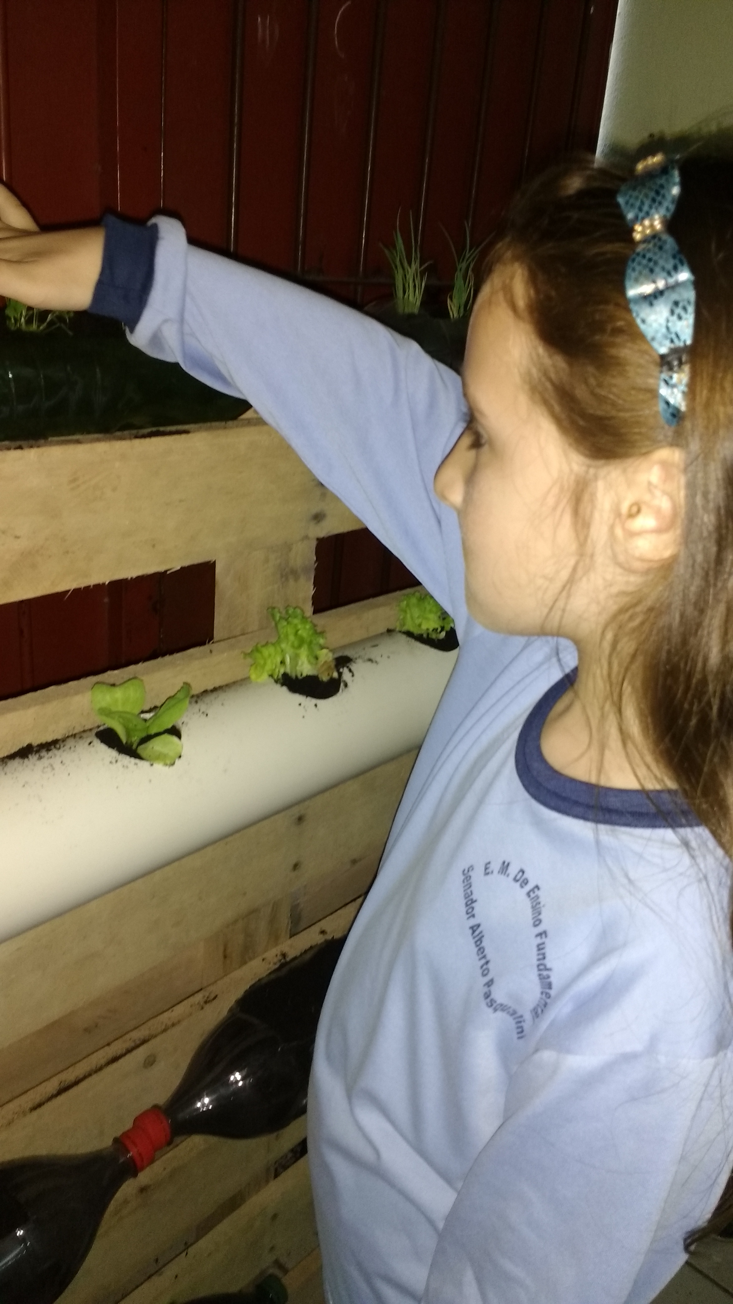 Santa Clara | Plantando o Bem