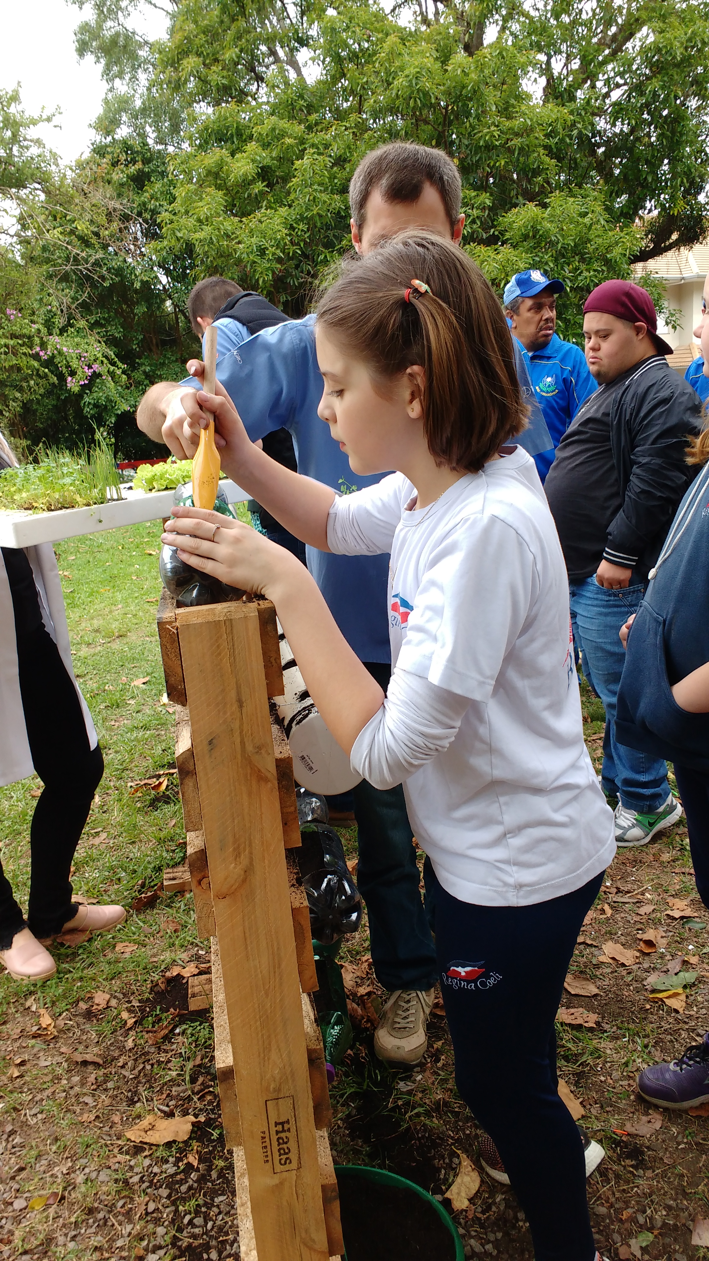 Santa Clara | Plantando o Bem