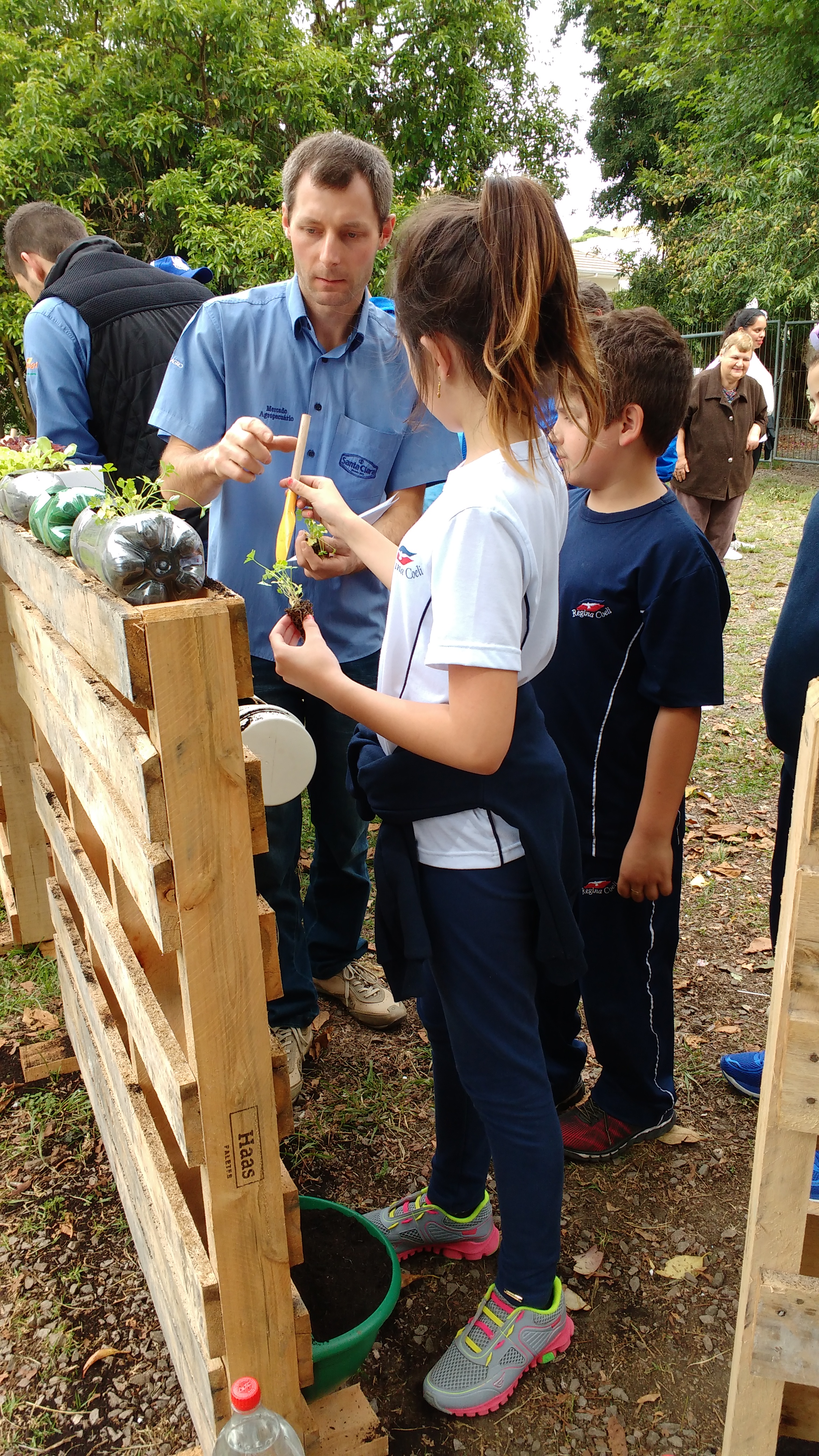 Santa Clara | Plantando o Bem