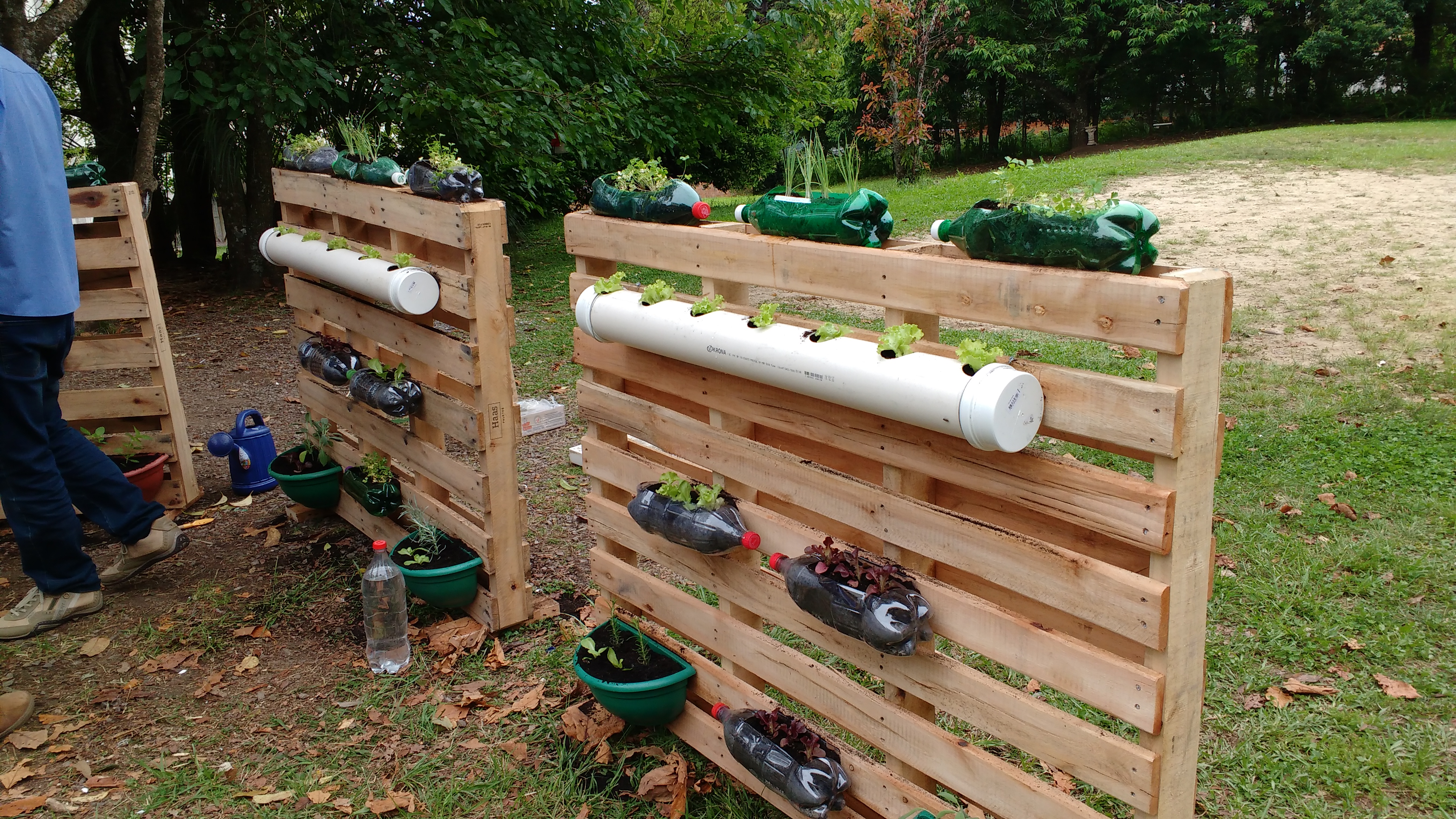 Santa Clara | Plantando o Bem