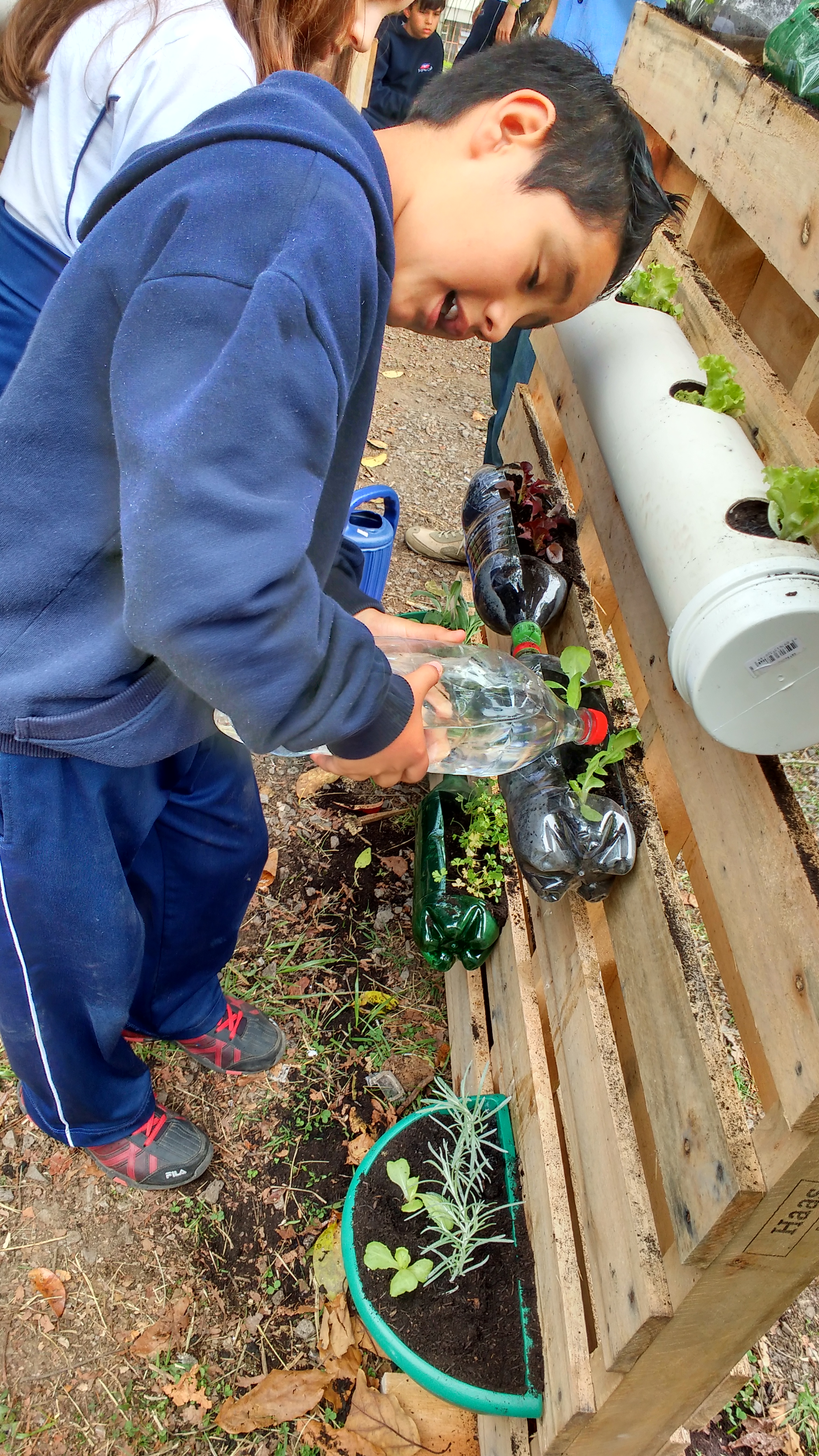 Santa Clara | Plantando o Bem