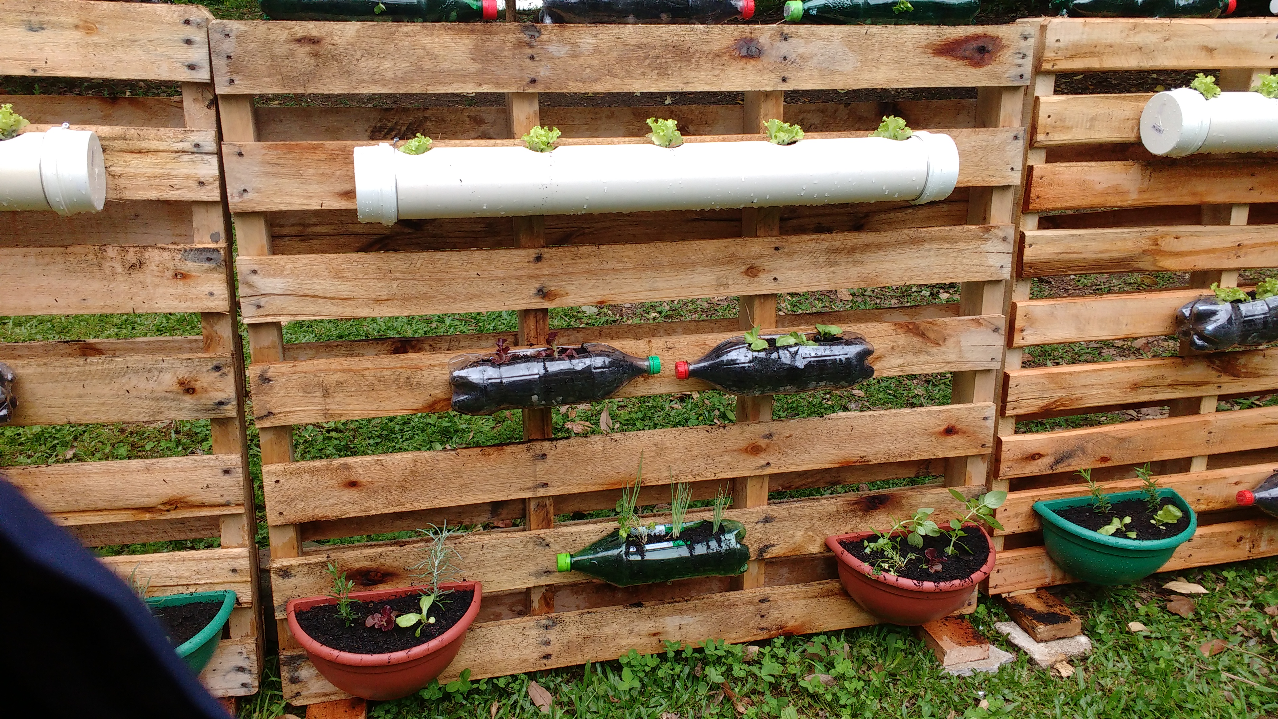 Santa Clara | Plantando o Bem