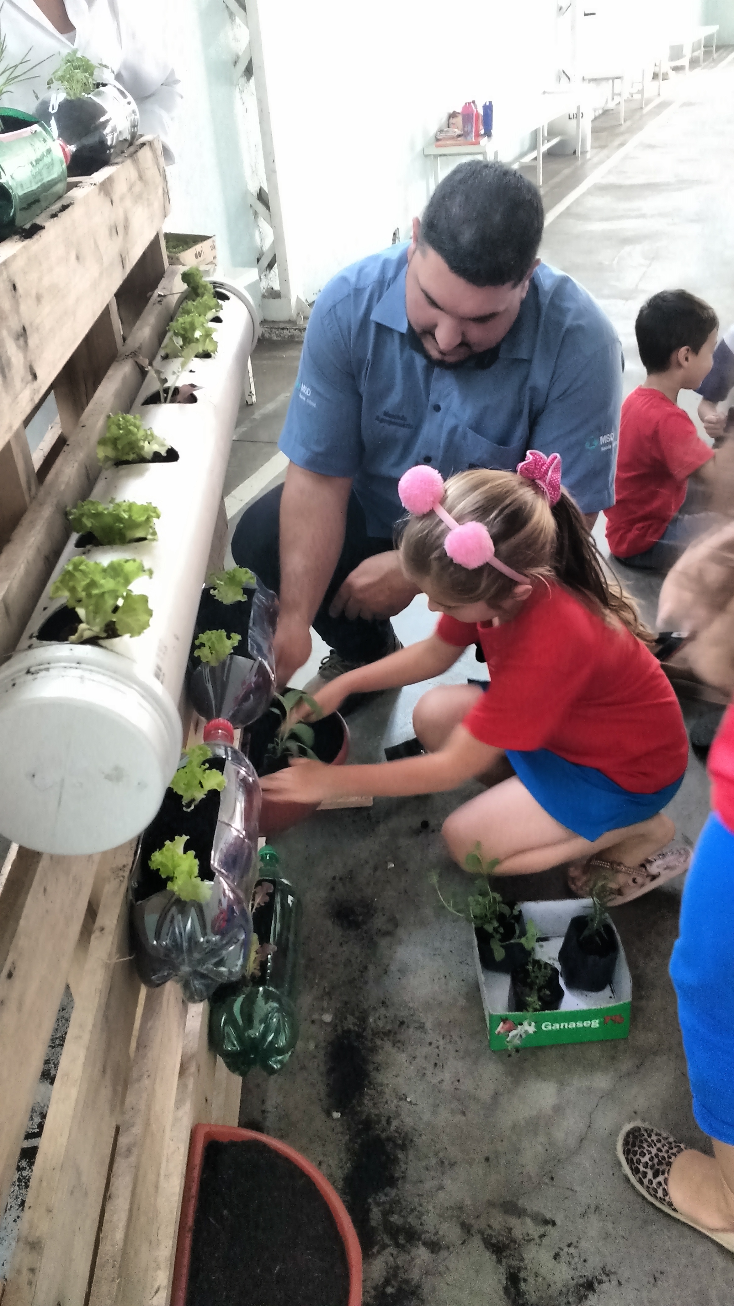 Santa Clara | Plantando o Bem