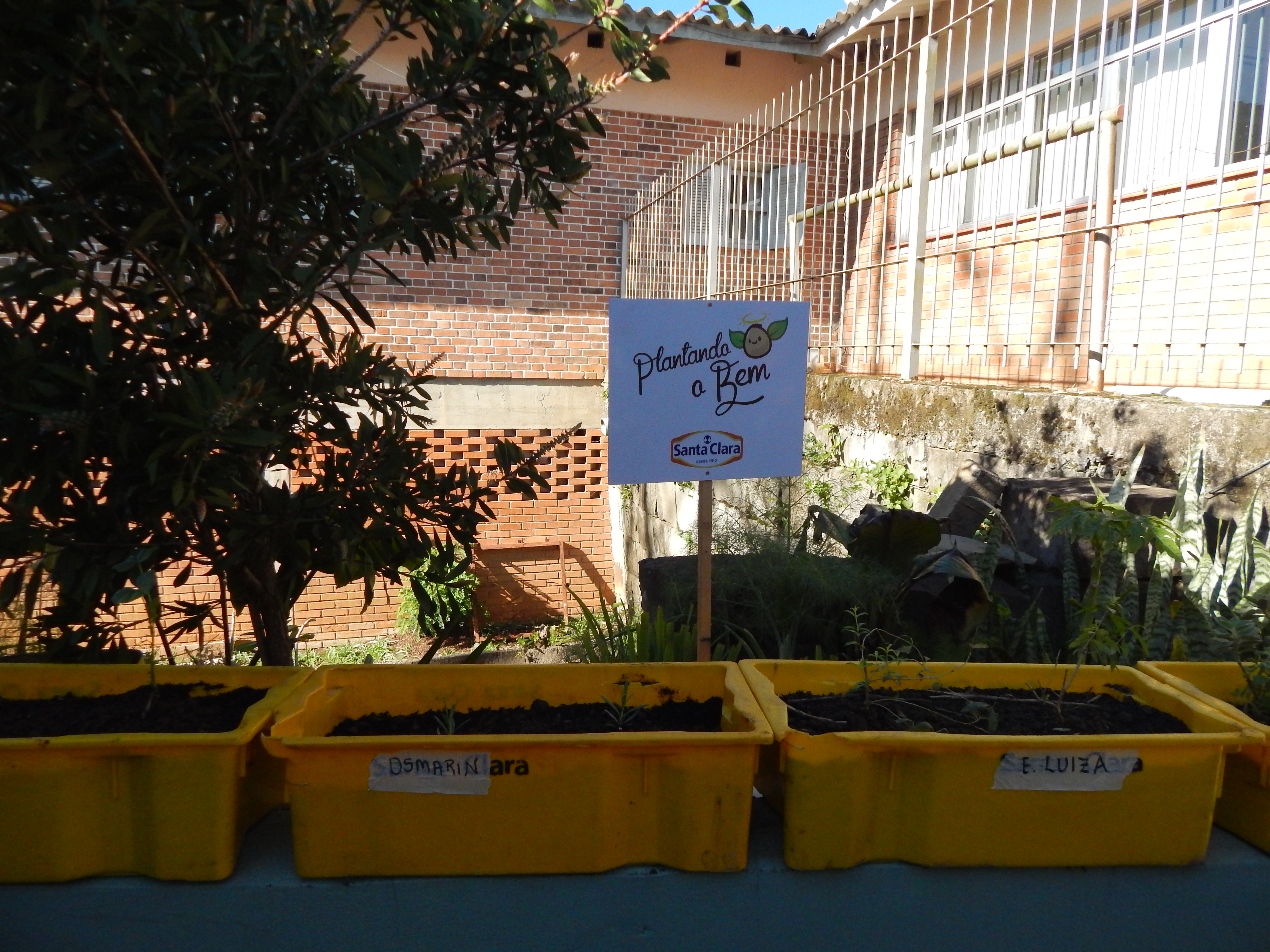 Santa Clara | Plantando o Bem