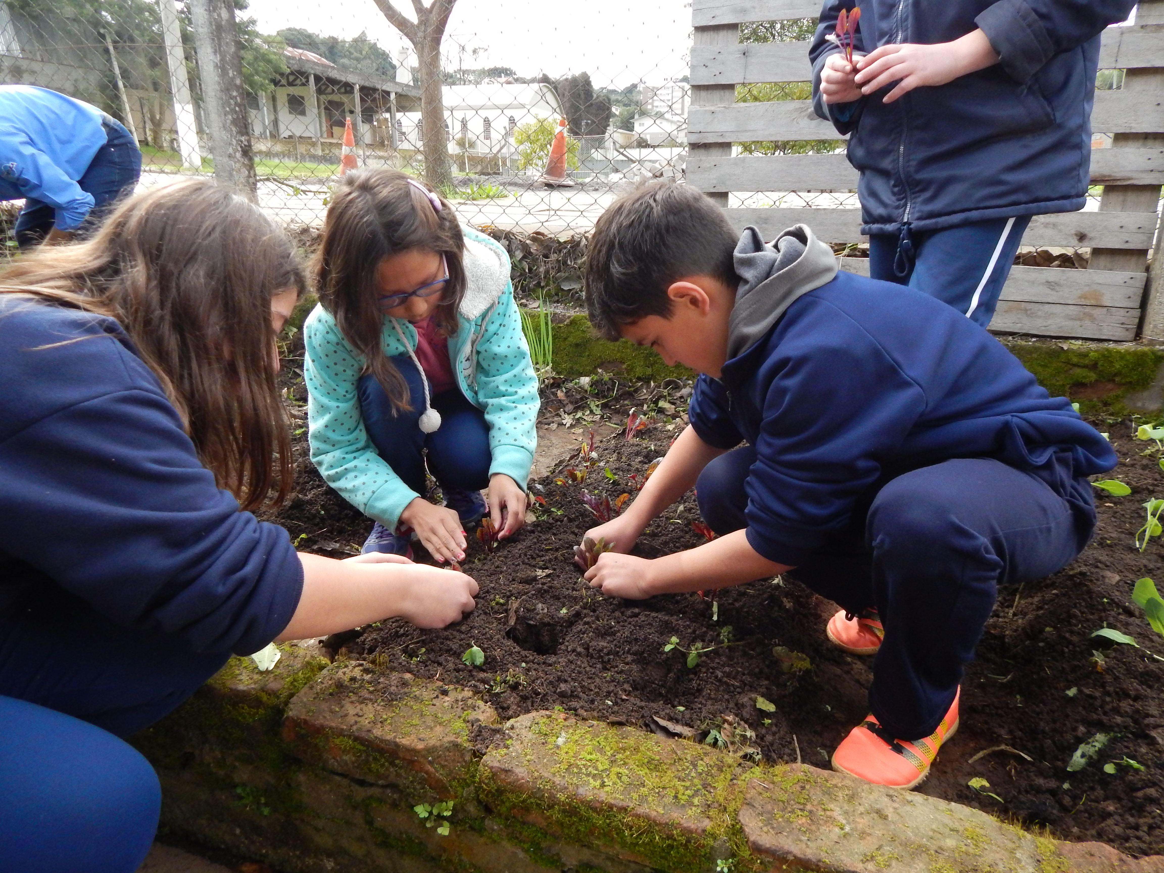 Santa Clara | Plantando o Bem