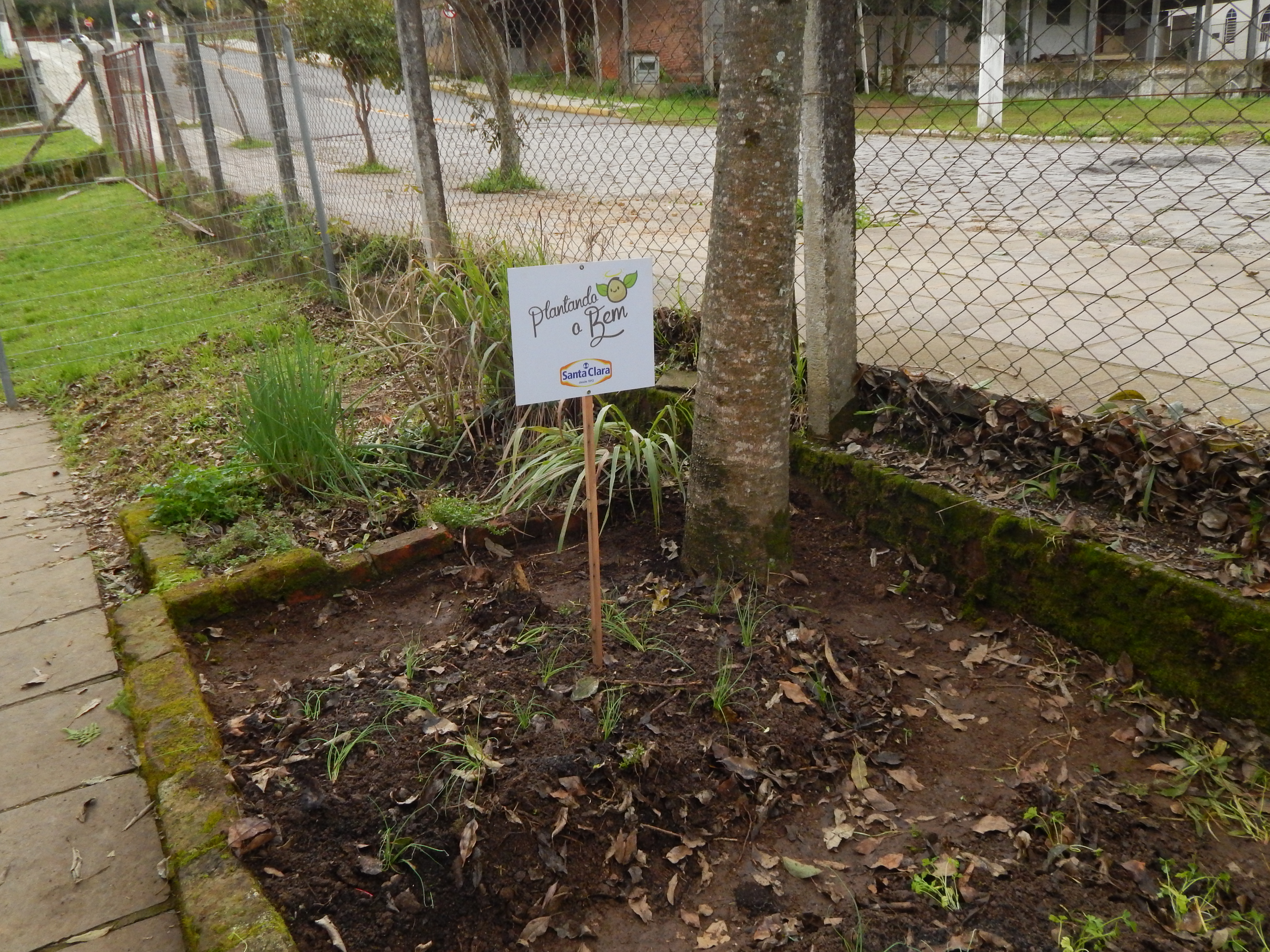Santa Clara | Plantando o Bem