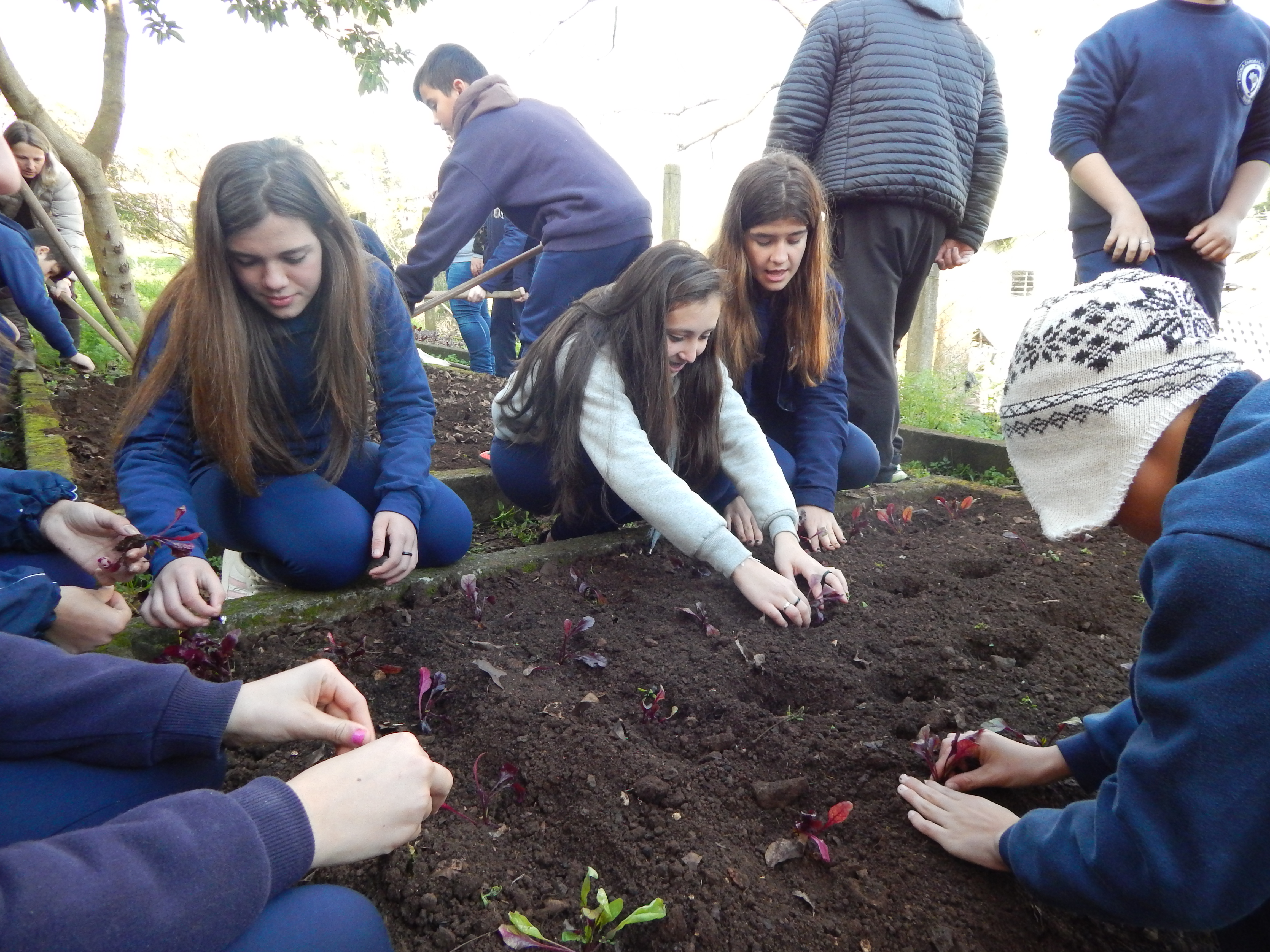 Santa Clara | Plantando o Bem