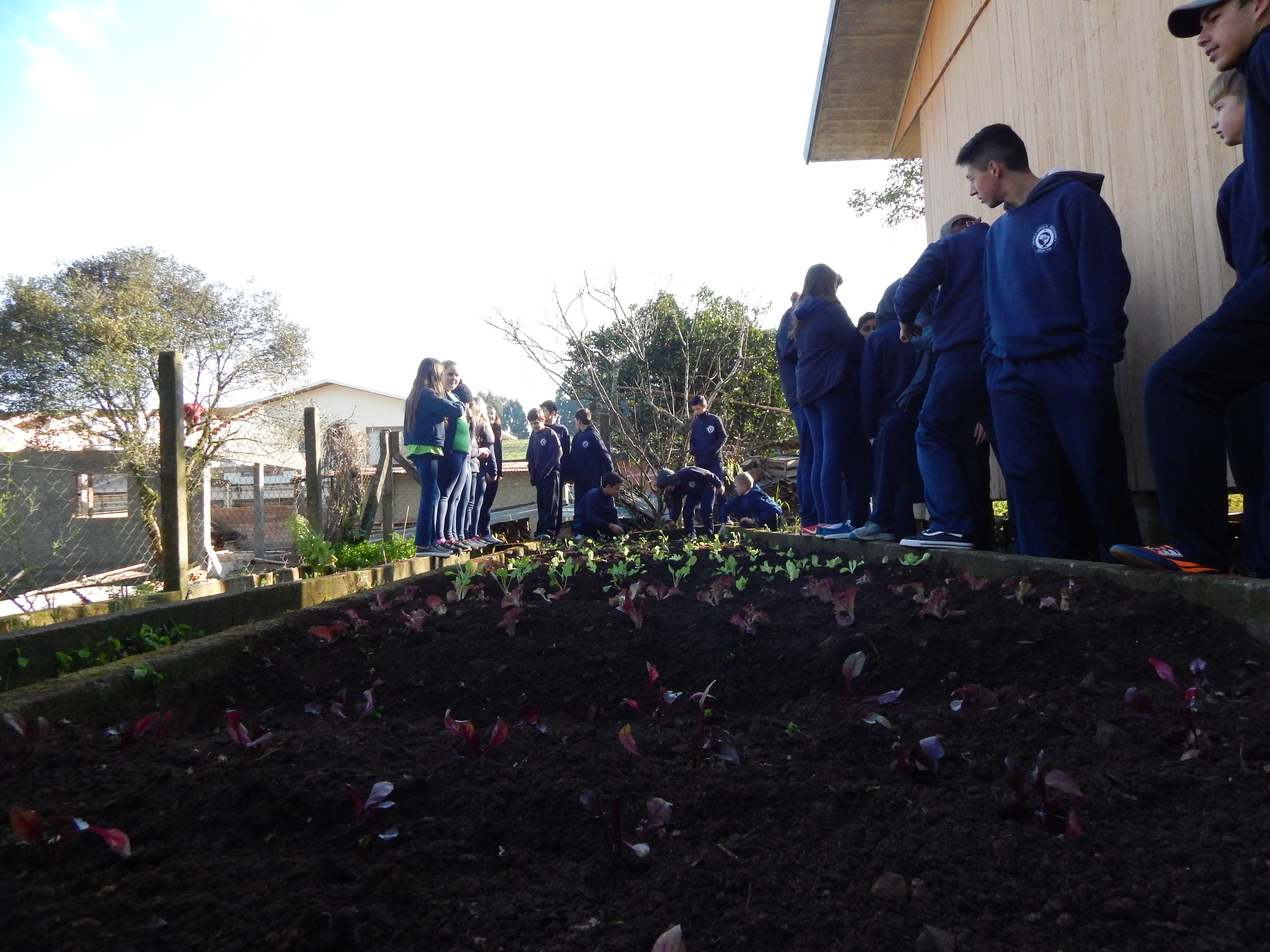 Santa Clara | Plantando o Bem