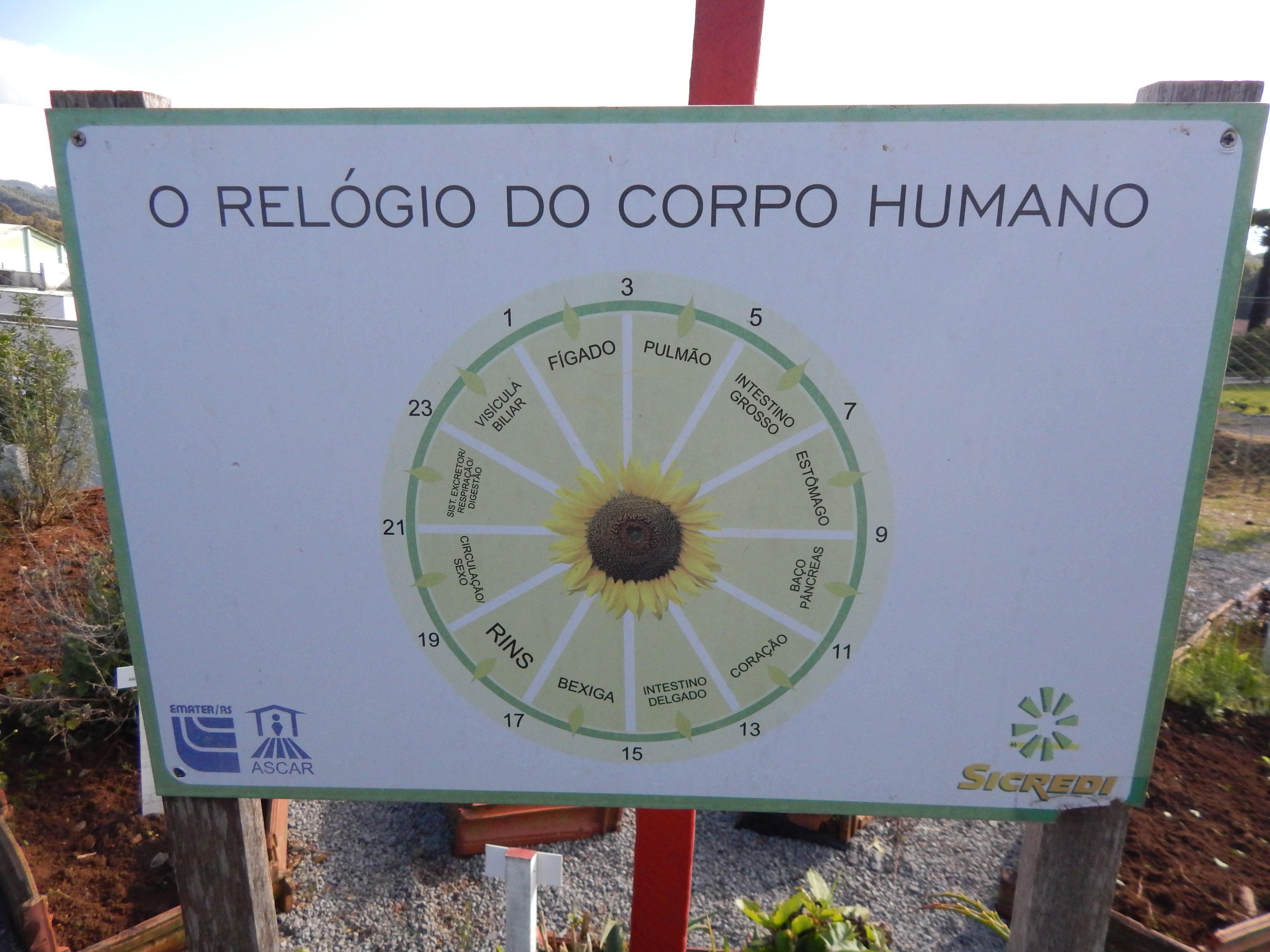 Santa Clara | Plantando o Bem