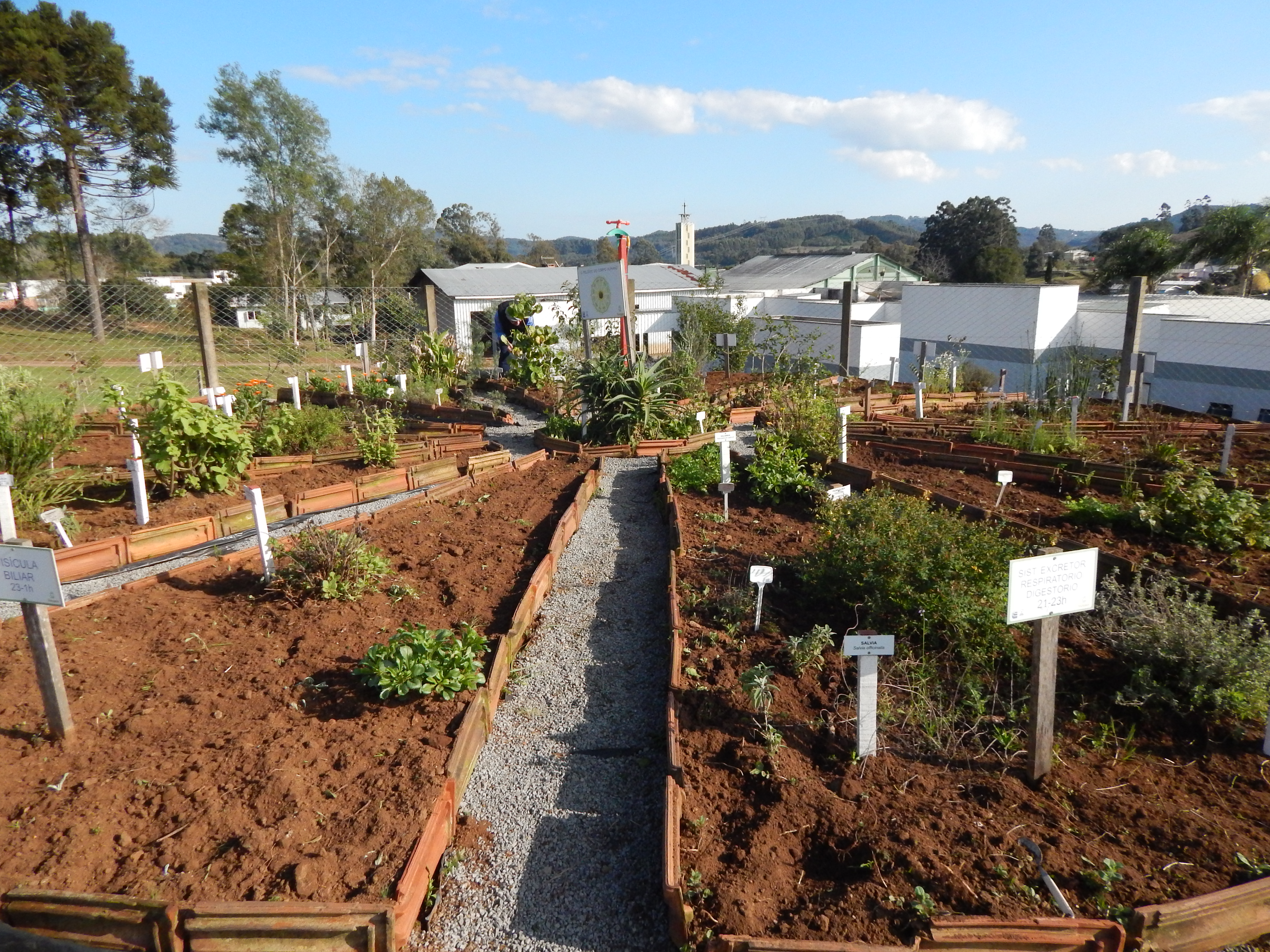 Santa Clara | Plantando o Bem