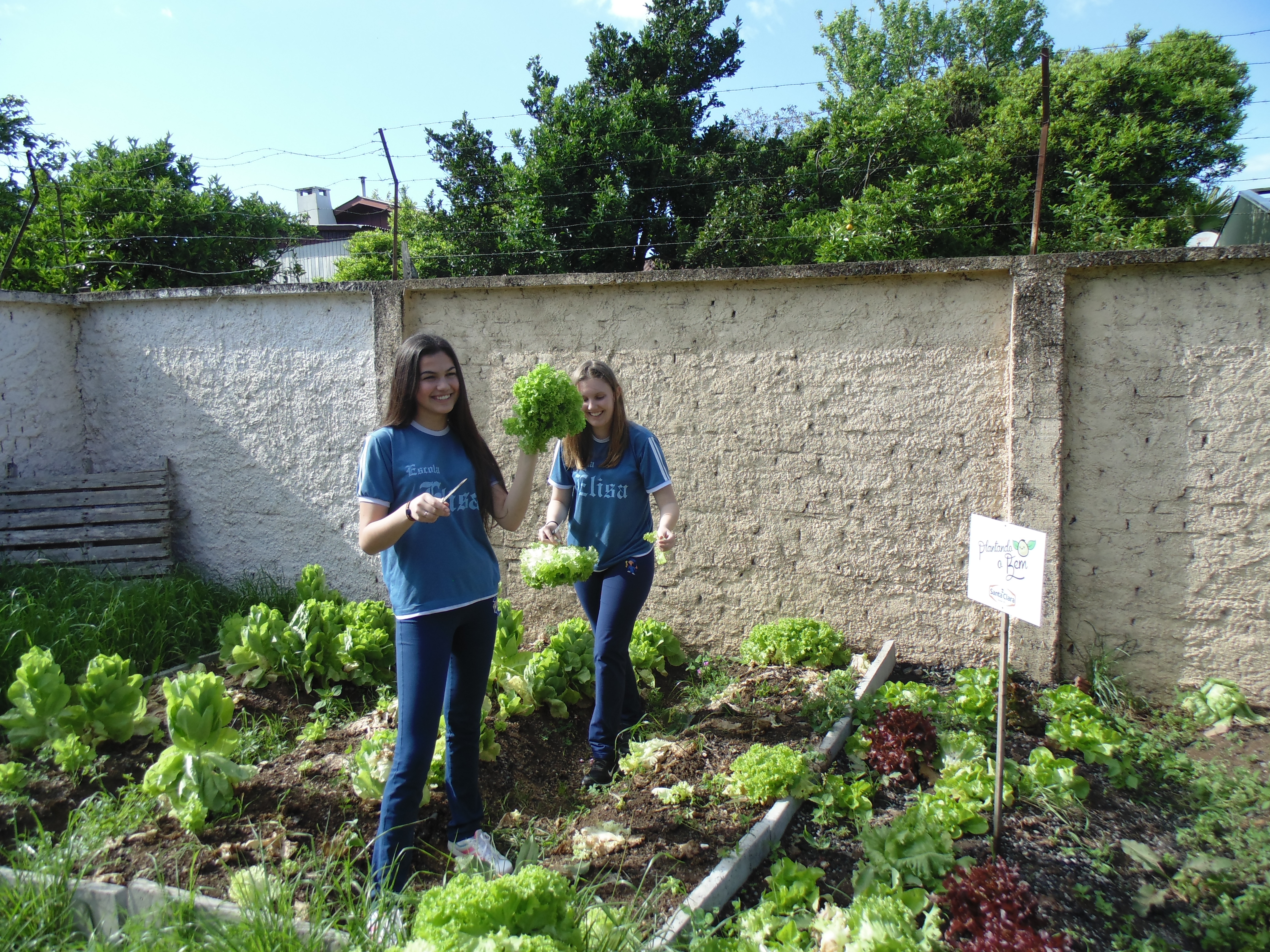 Santa Clara | Plantando o Bem