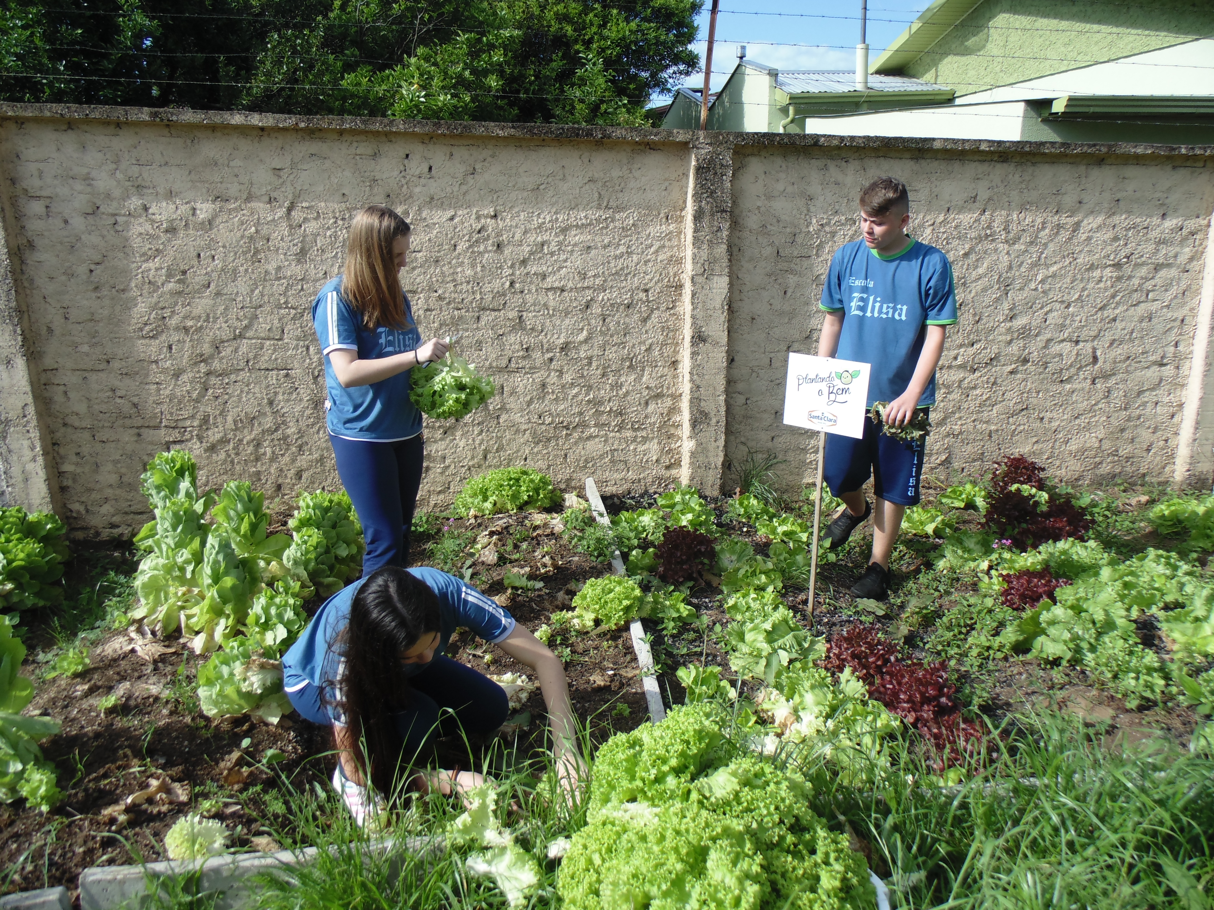Santa Clara | Plantando o Bem