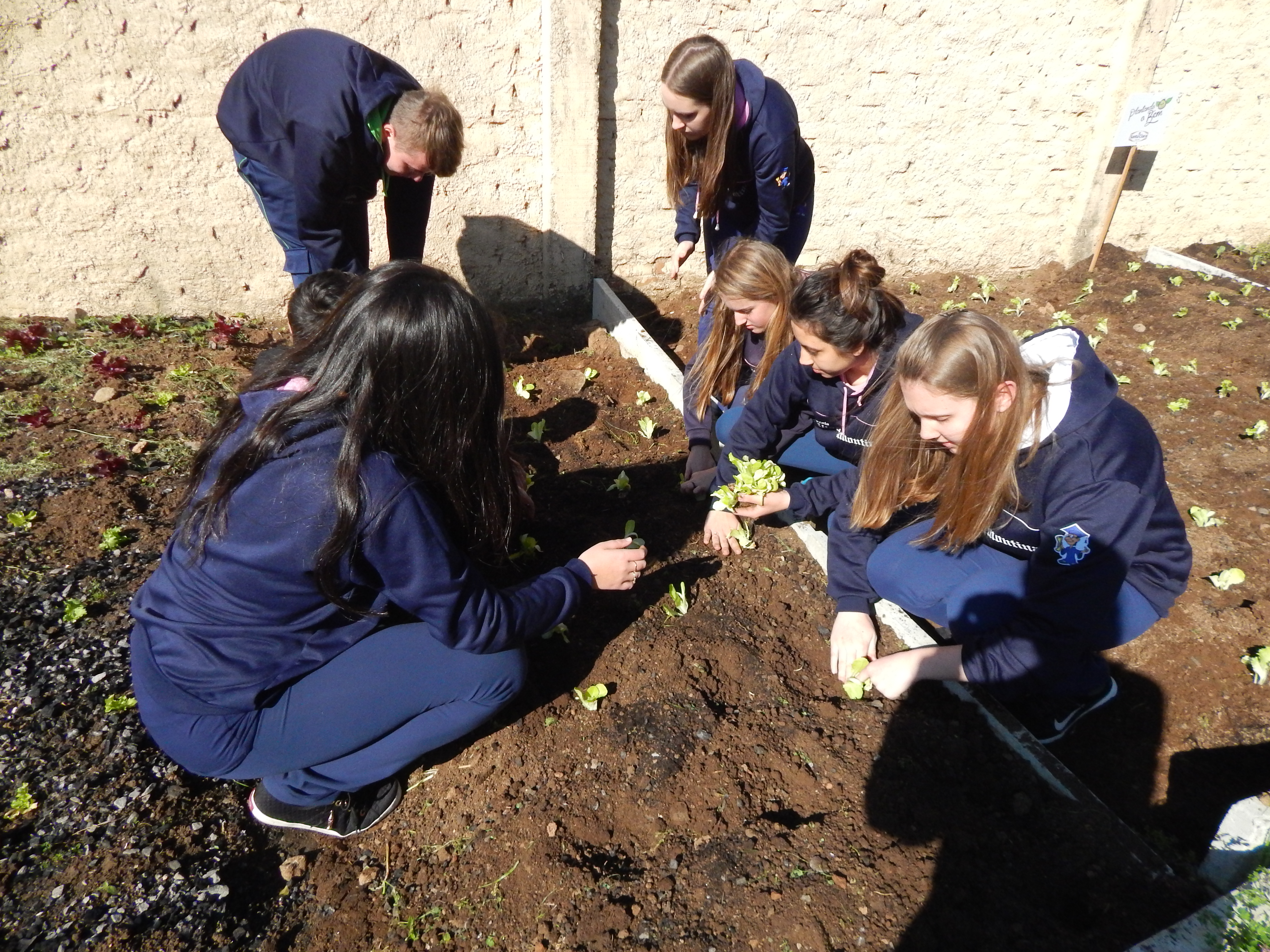 Santa Clara | Plantando o Bem