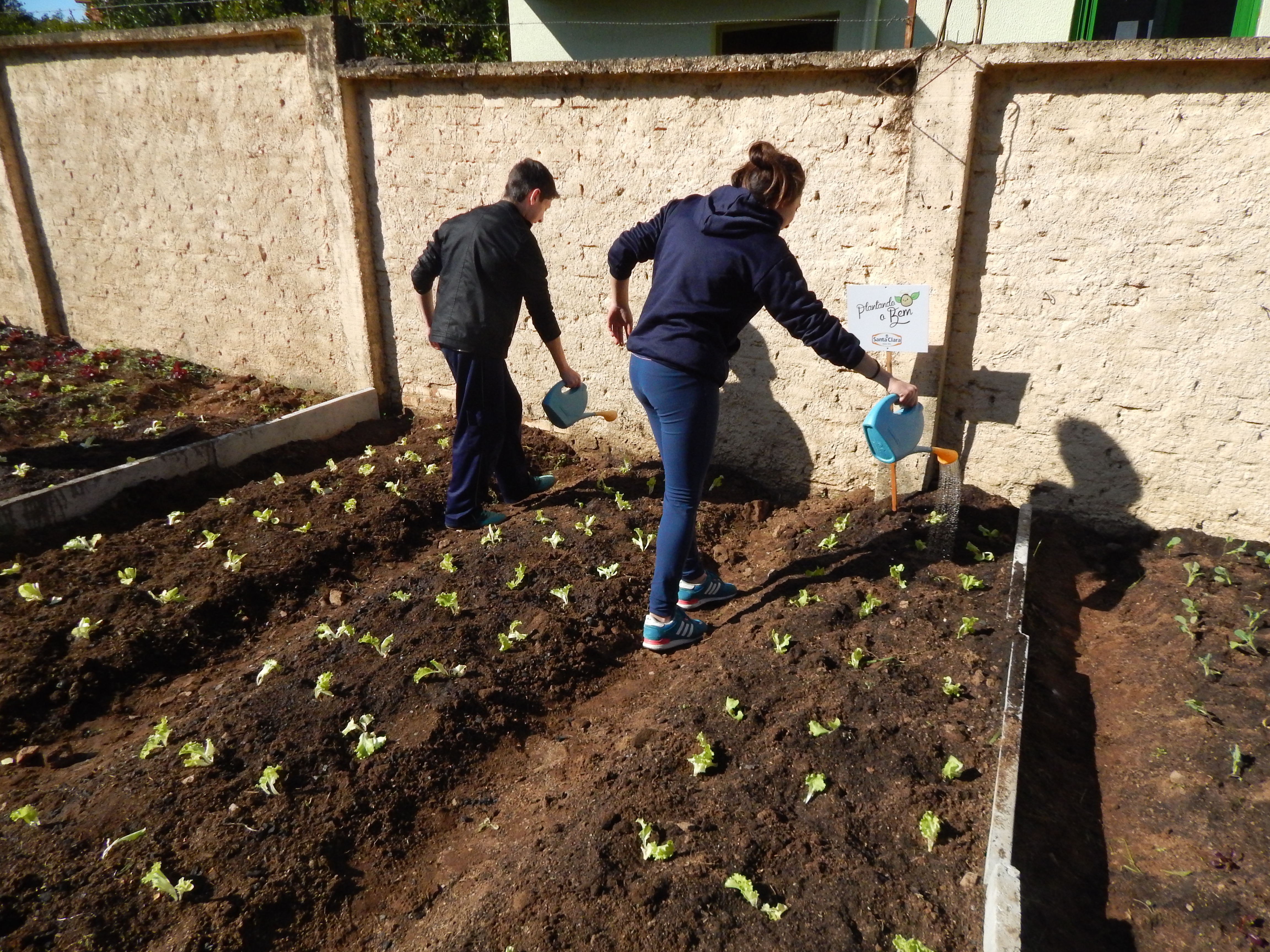 Santa Clara | Plantando o Bem