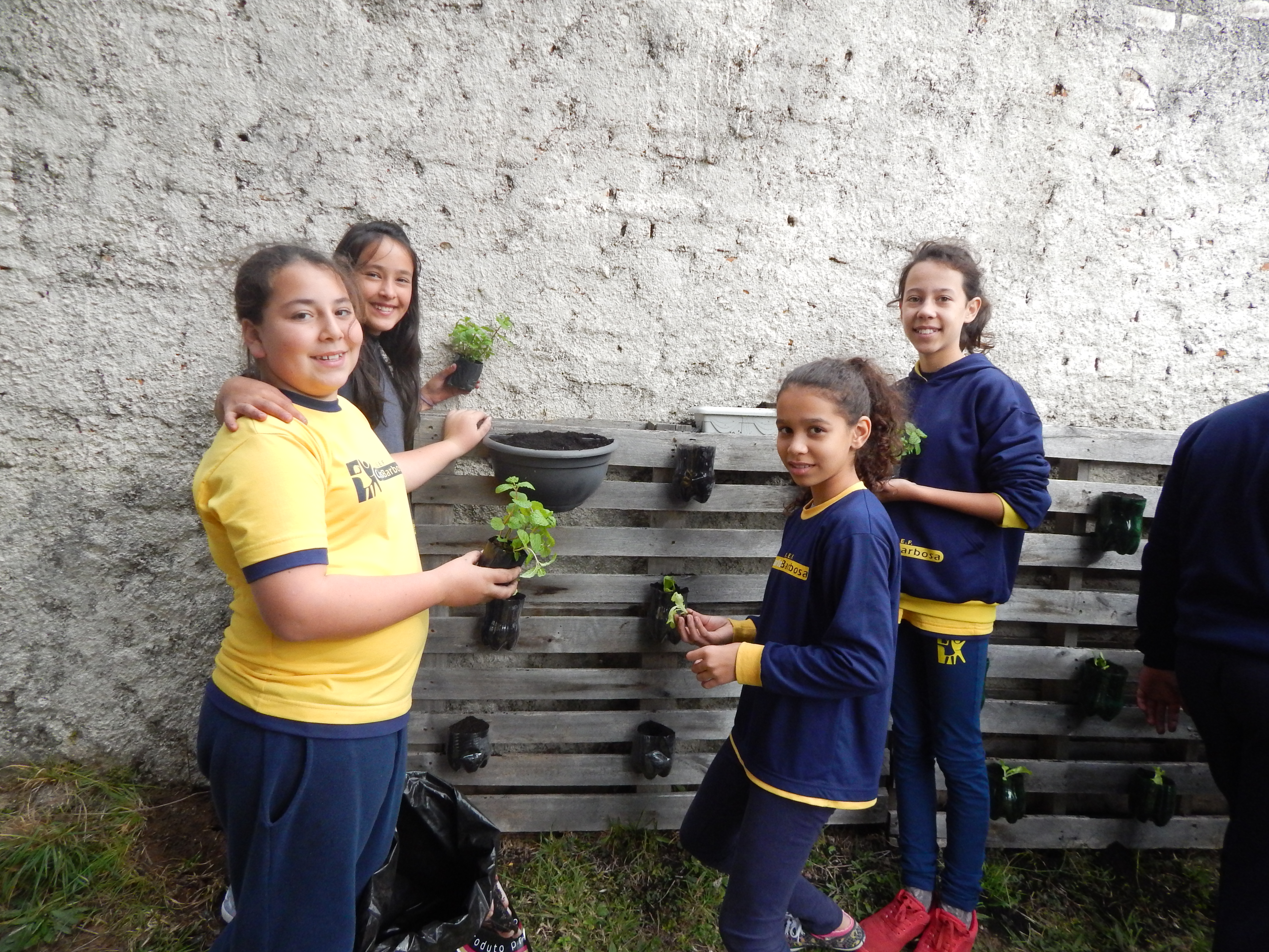Santa Clara | Plantando o Bem