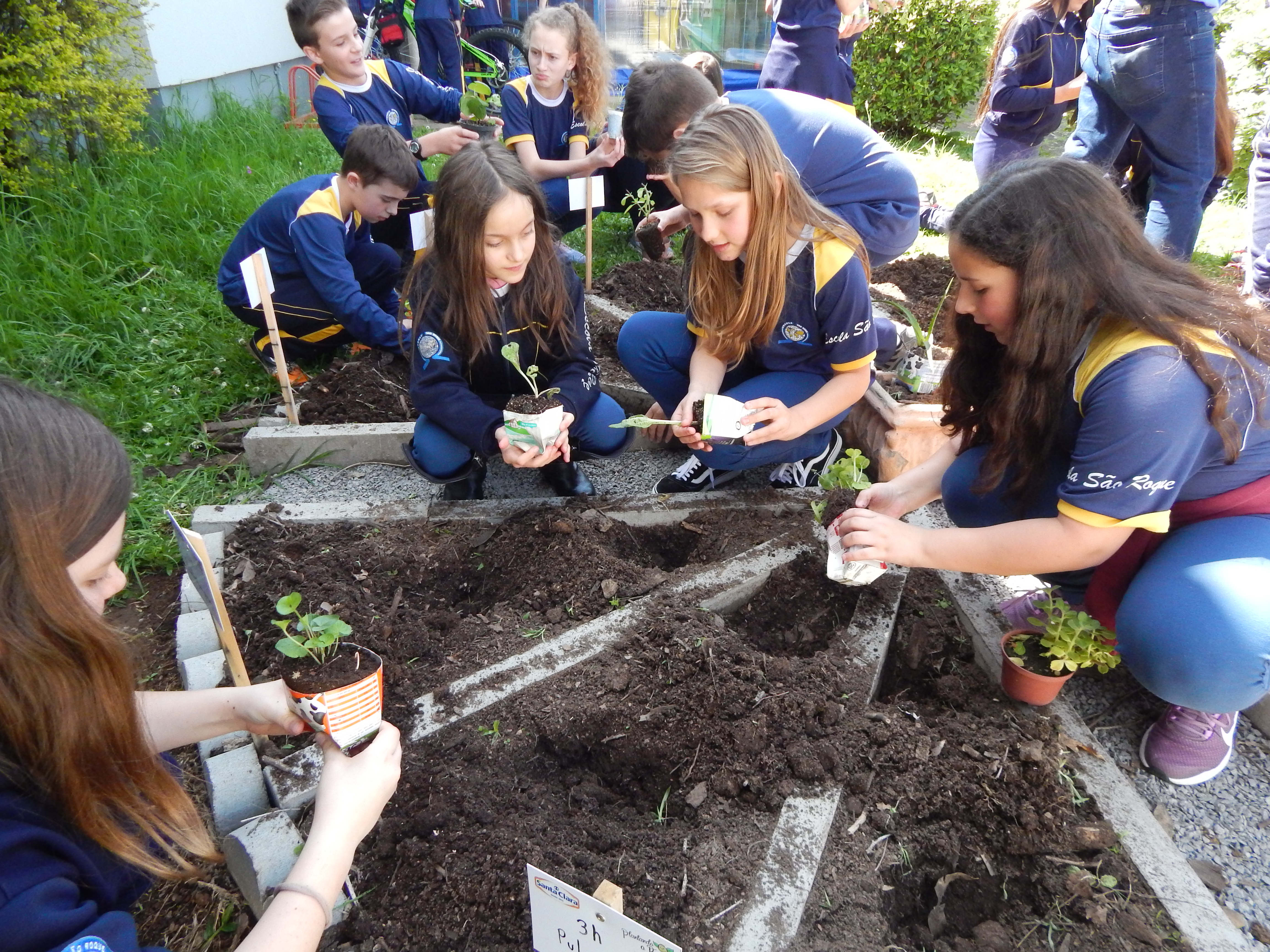 Santa Clara | Plantando o Bem