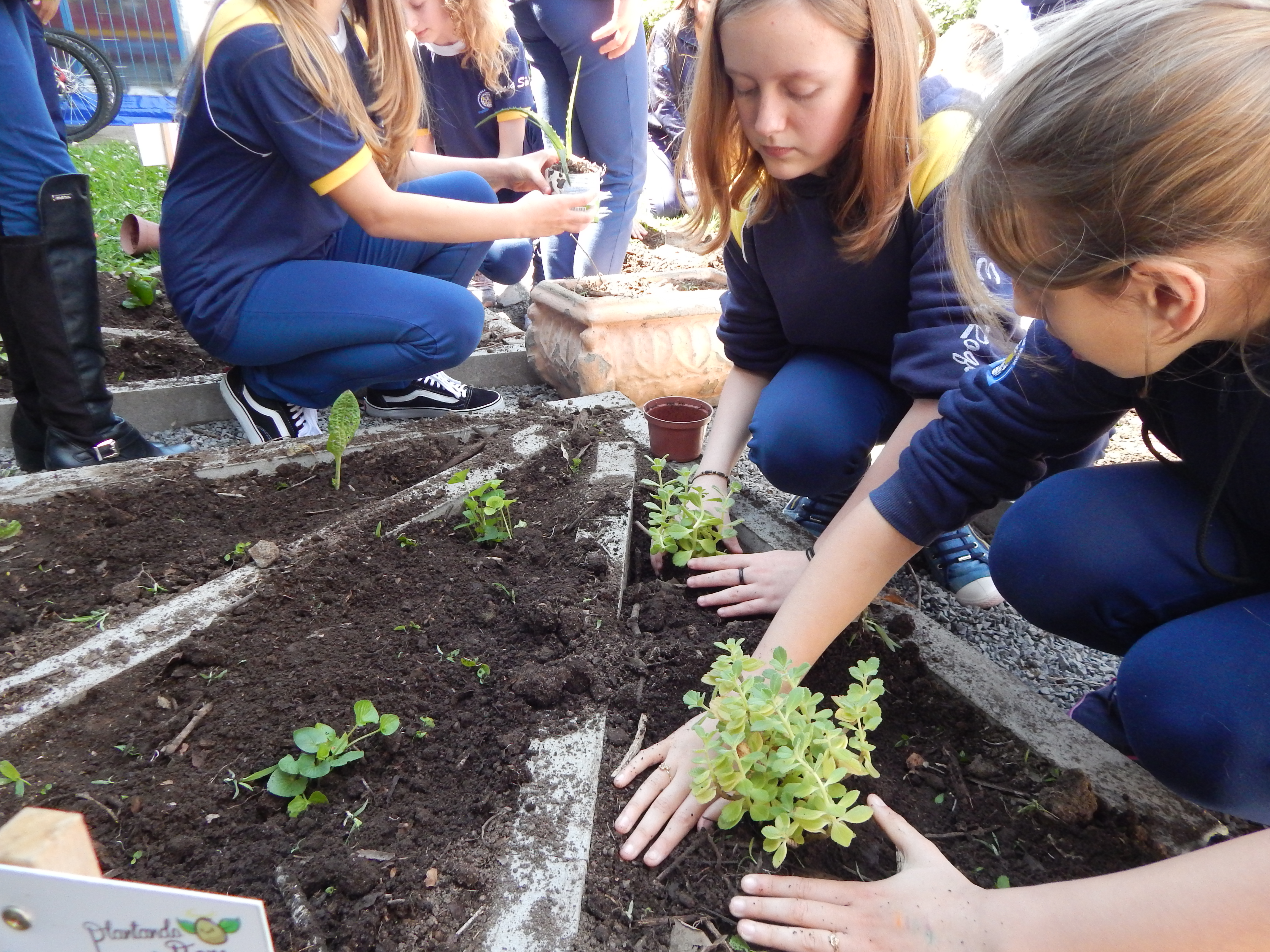 Santa Clara | Plantando o Bem