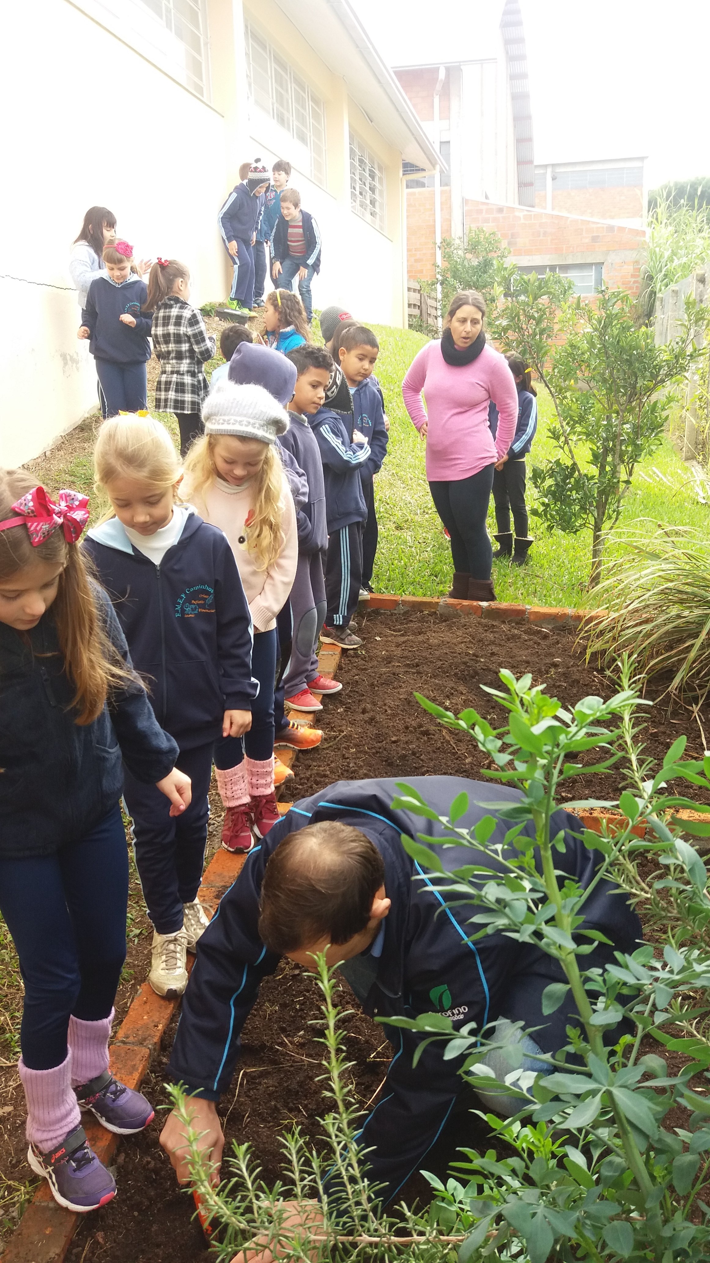 Santa Clara | Plantando o Bem