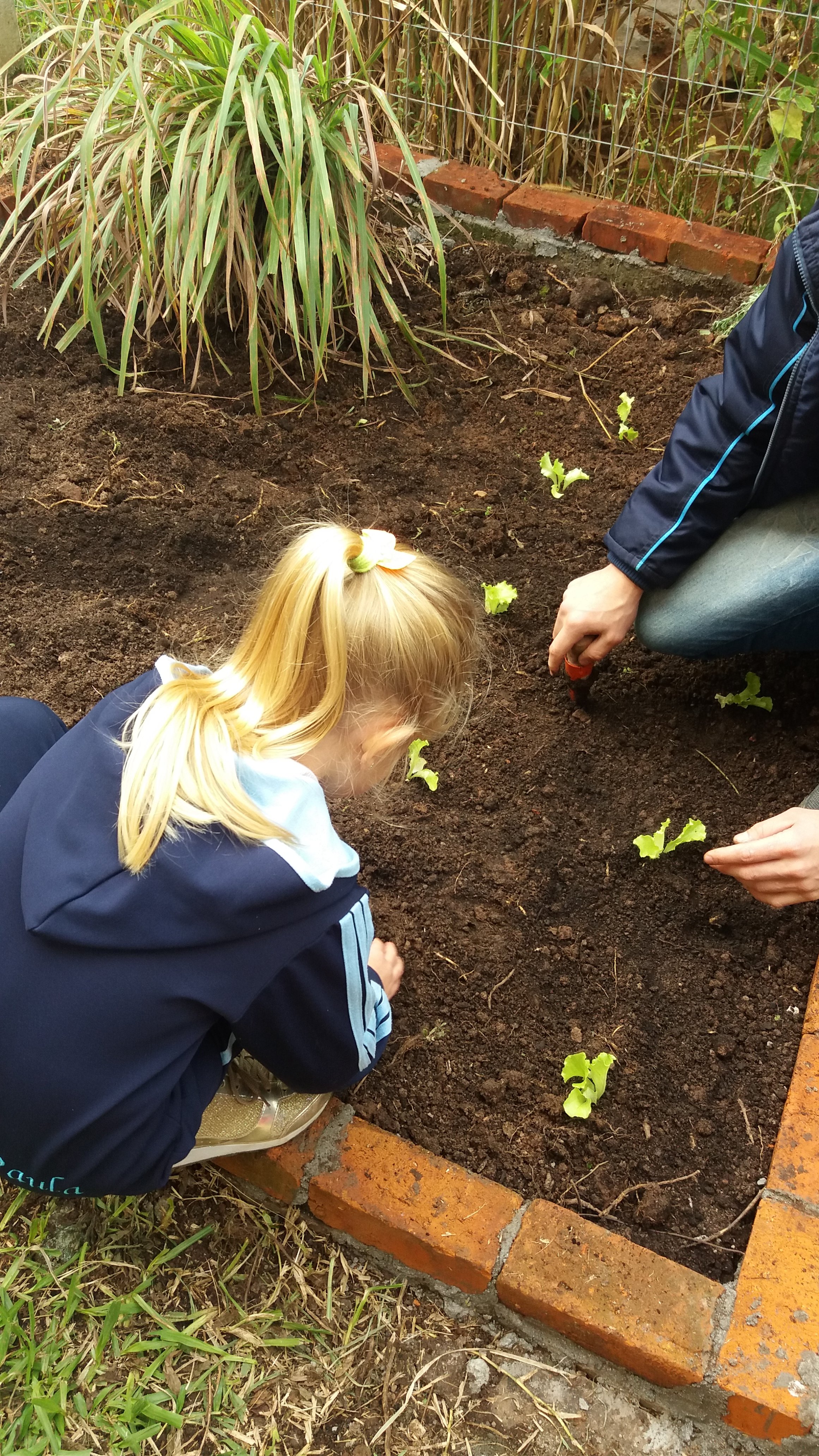Santa Clara | Plantando o Bem