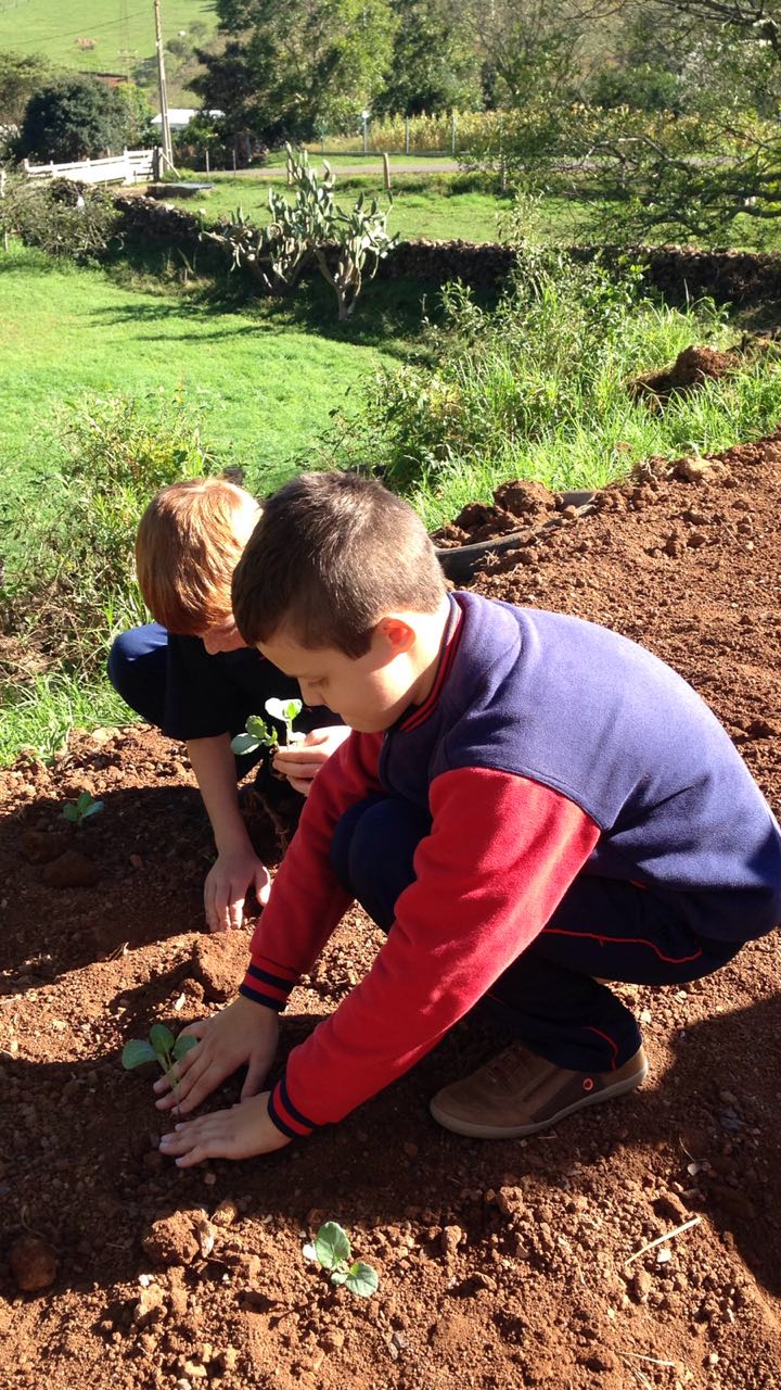 Santa Clara | Plantando o Bem