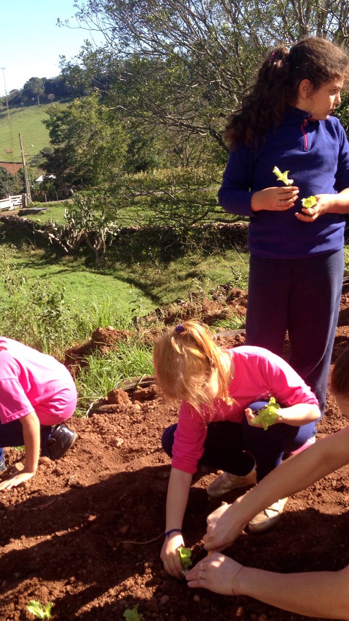 Santa Clara | Plantando o Bem