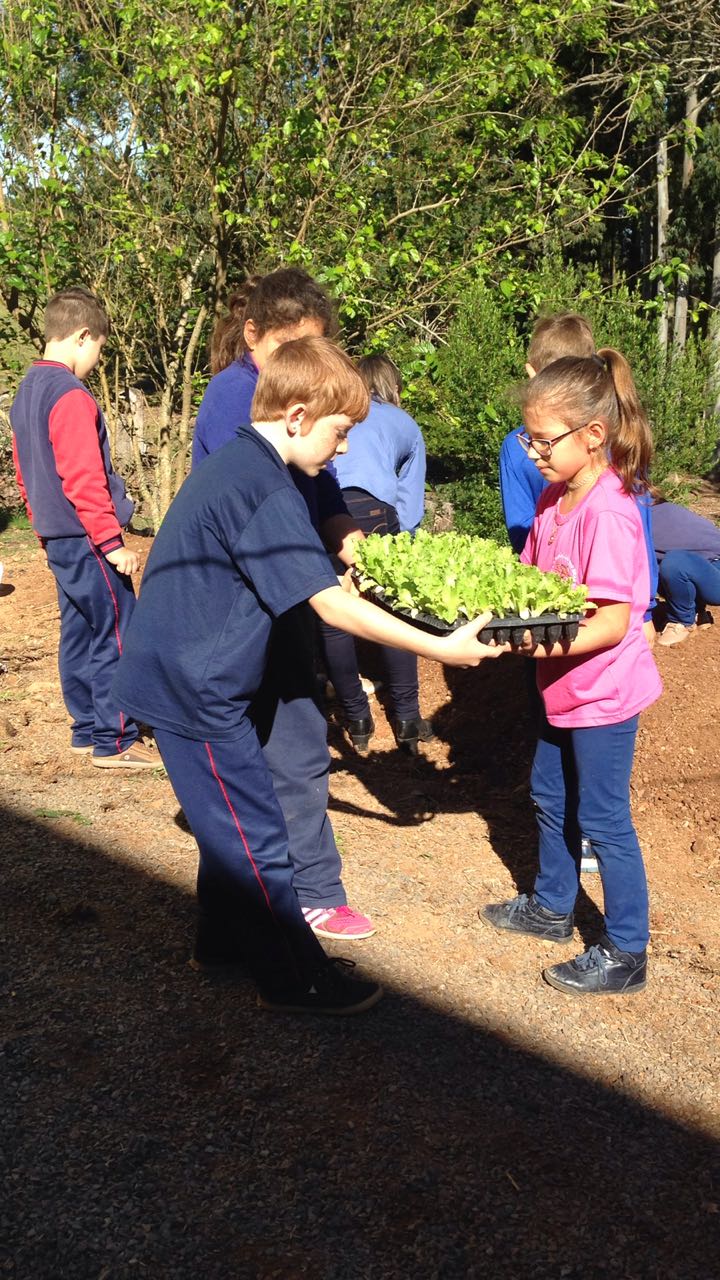 Santa Clara | Plantando o Bem