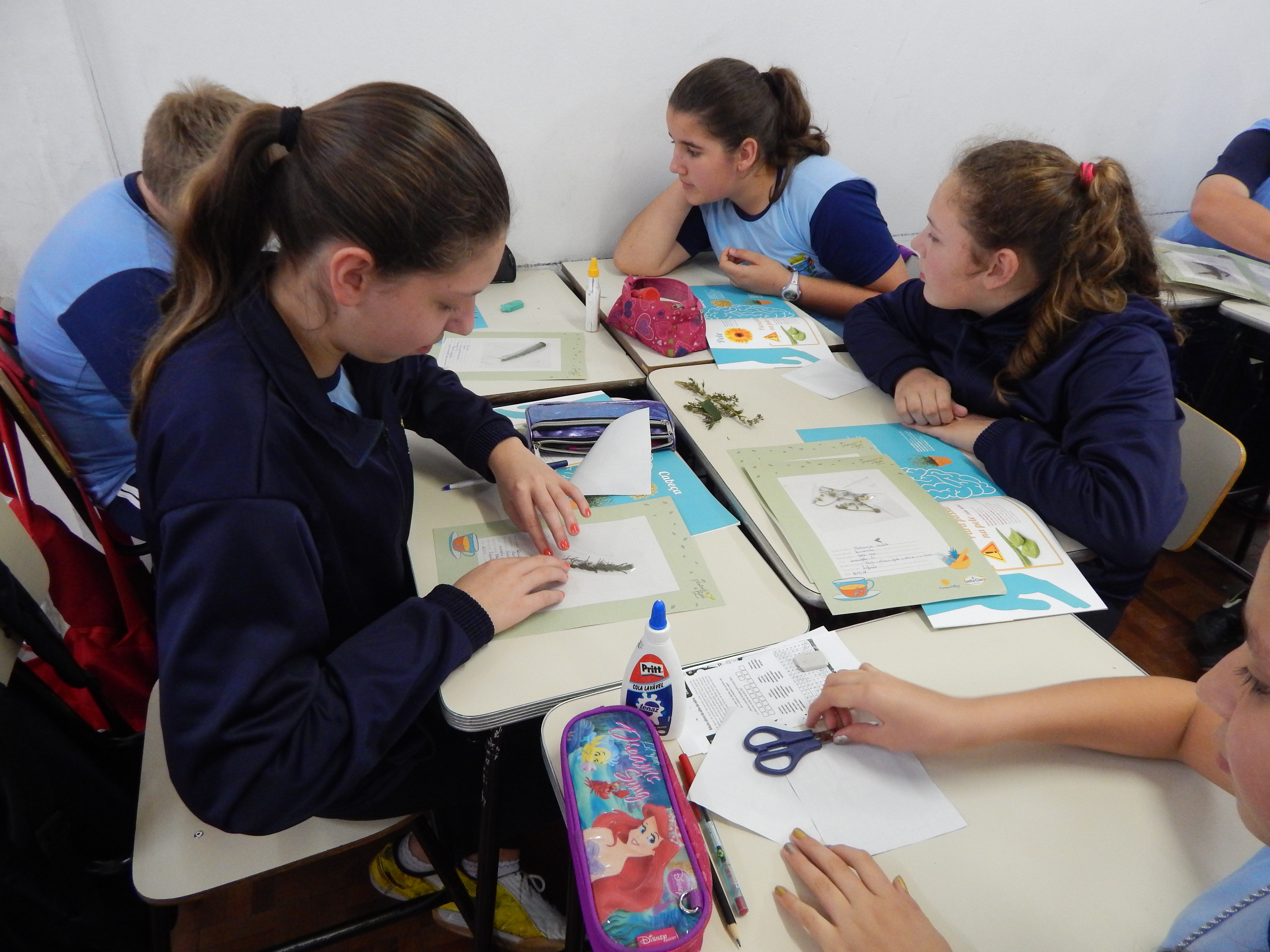 Santa Clara | Plantando o Bem