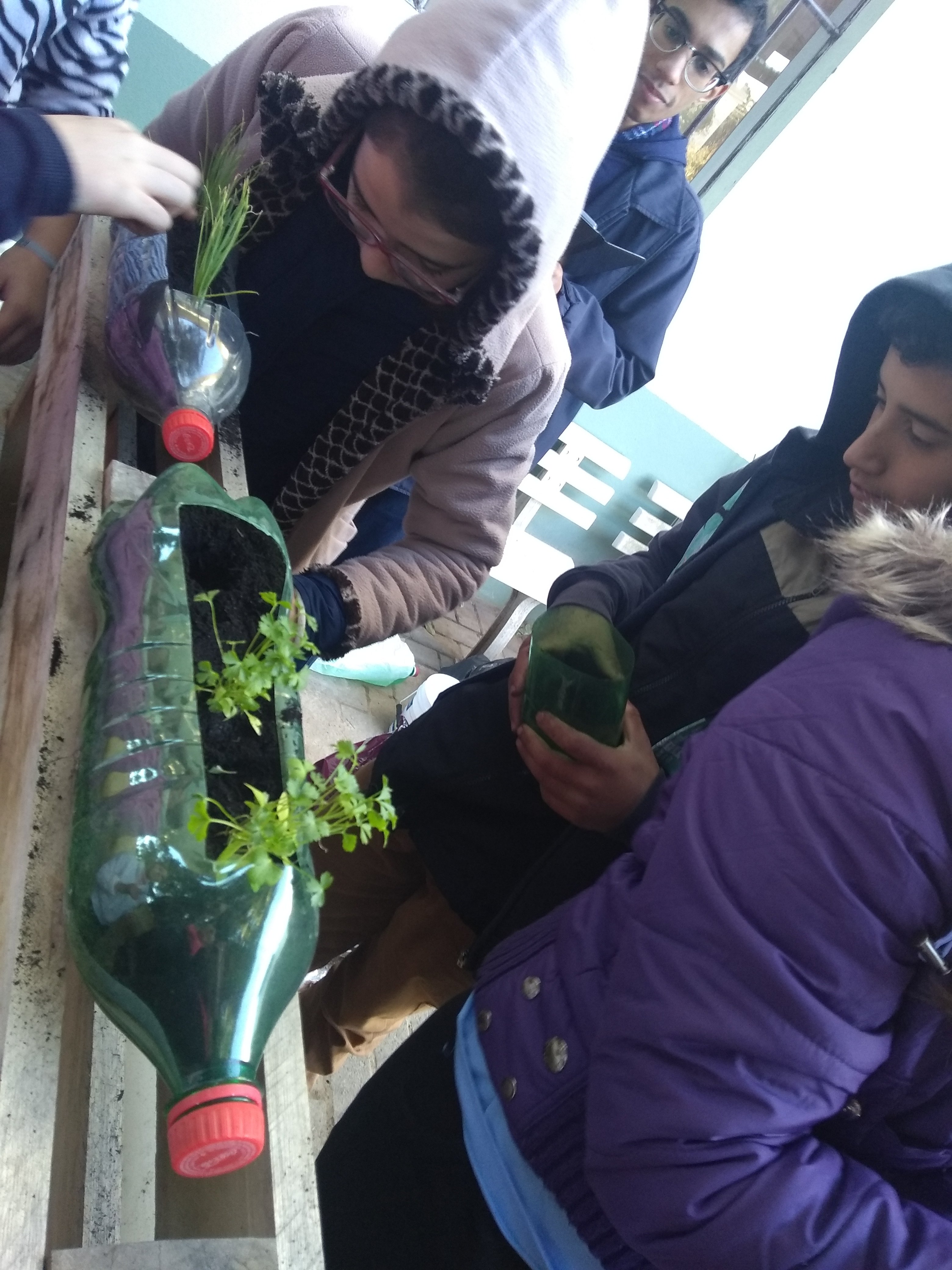 Santa Clara | Plantando o Bem
