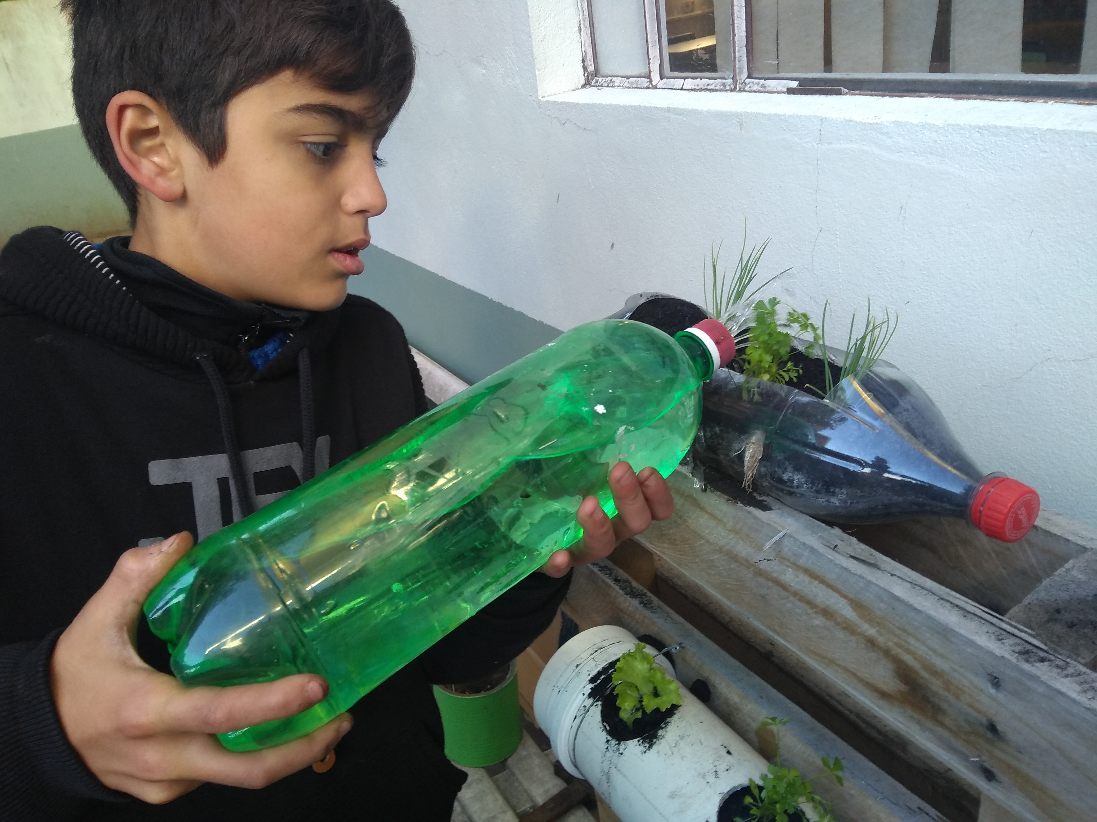 Santa Clara | Plantando o Bem