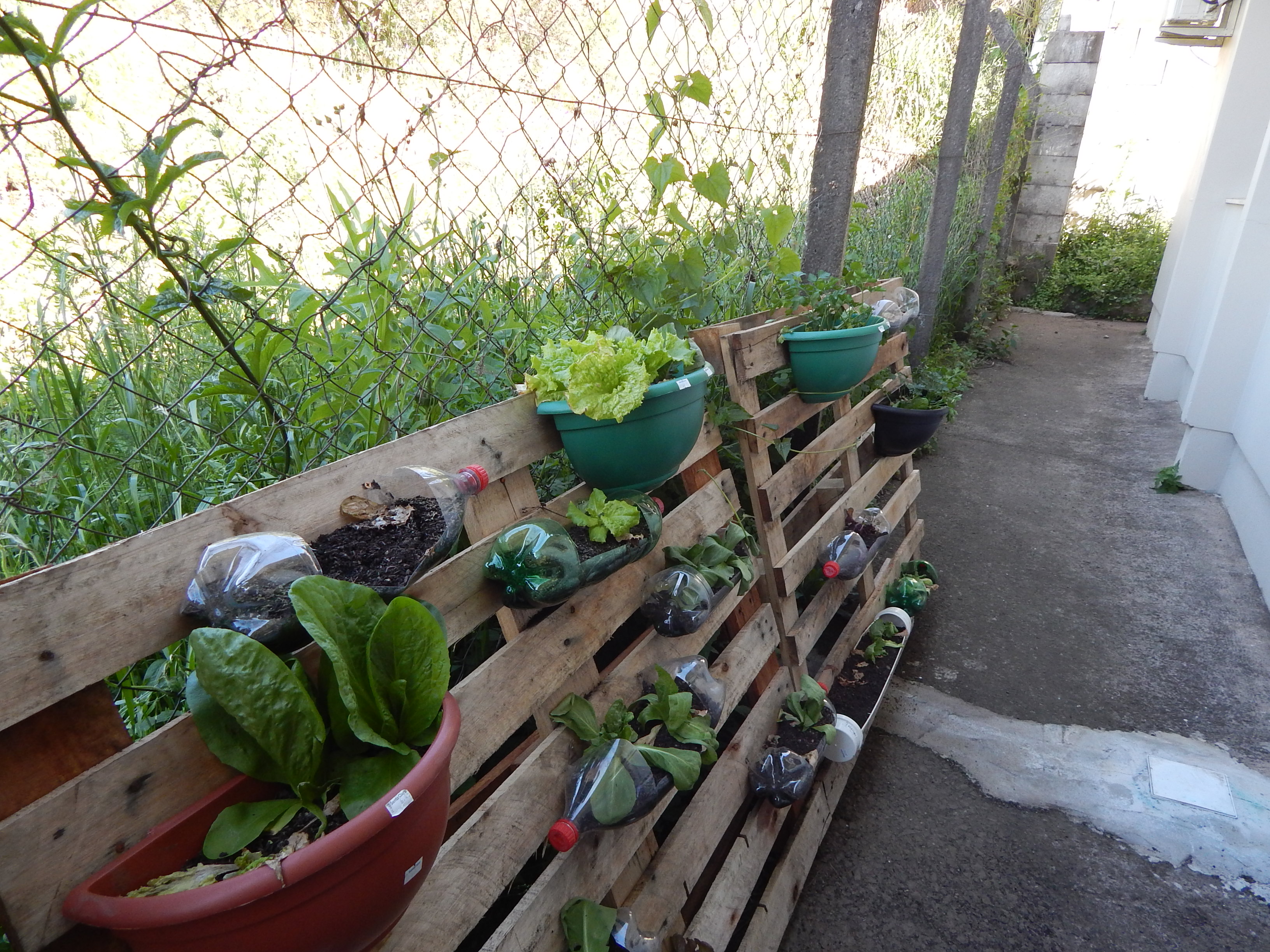 Santa Clara | Plantando o Bem