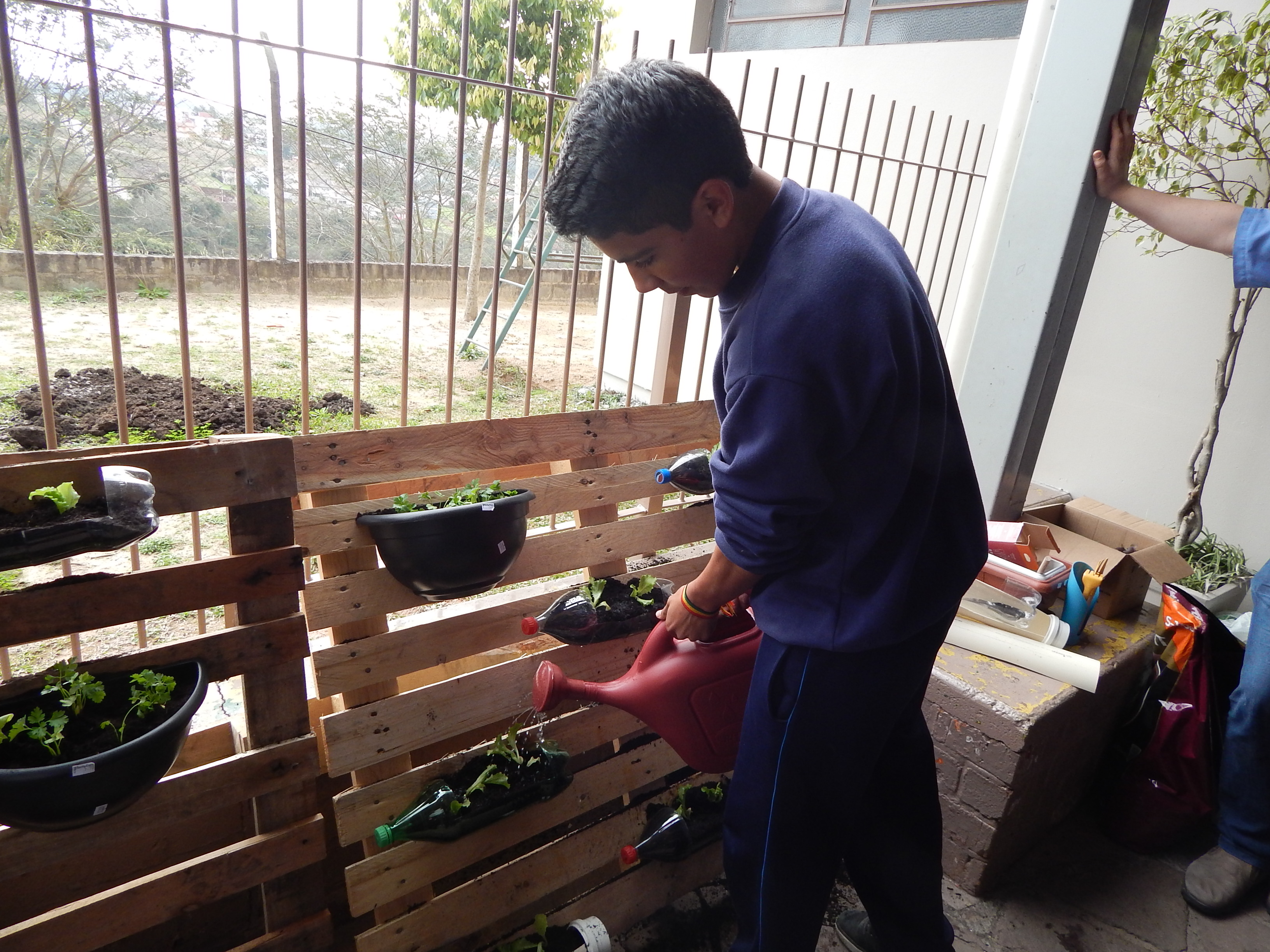 Santa Clara | Plantando o Bem