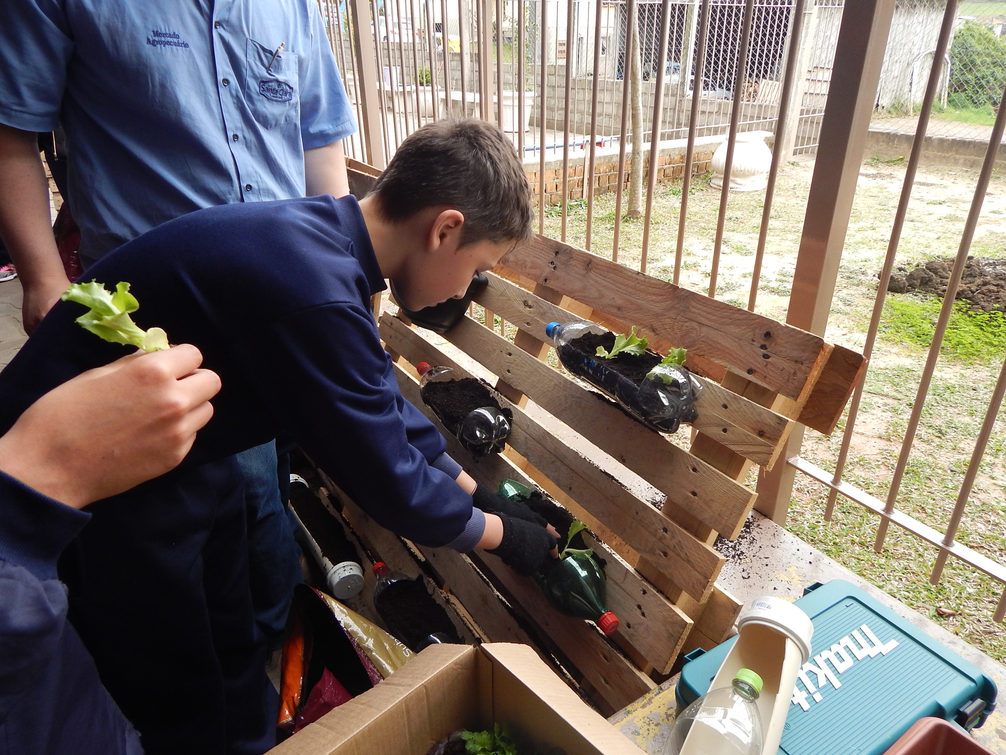 Santa Clara | Plantando o Bem