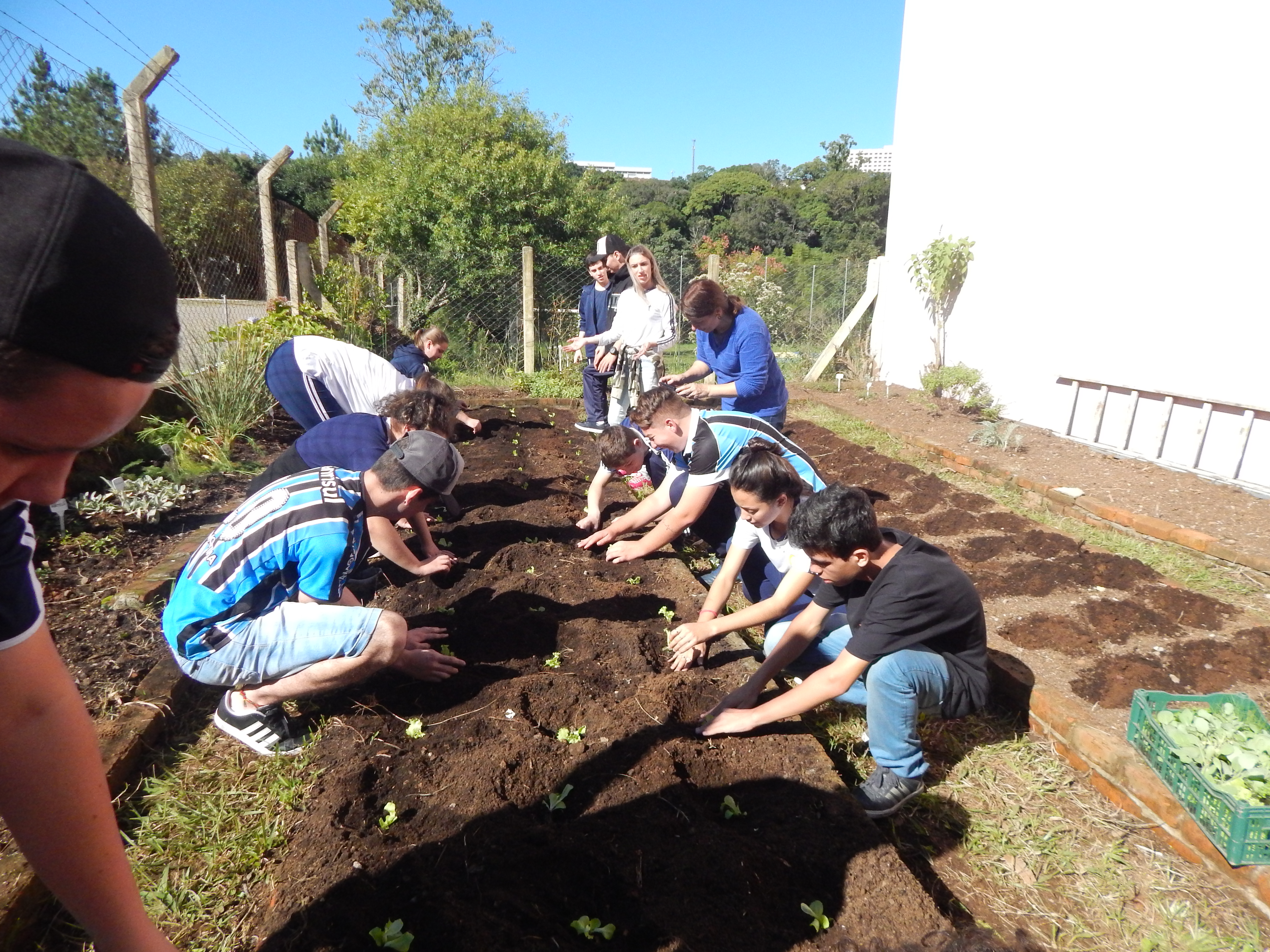 Santa Clara | Plantando o Bem