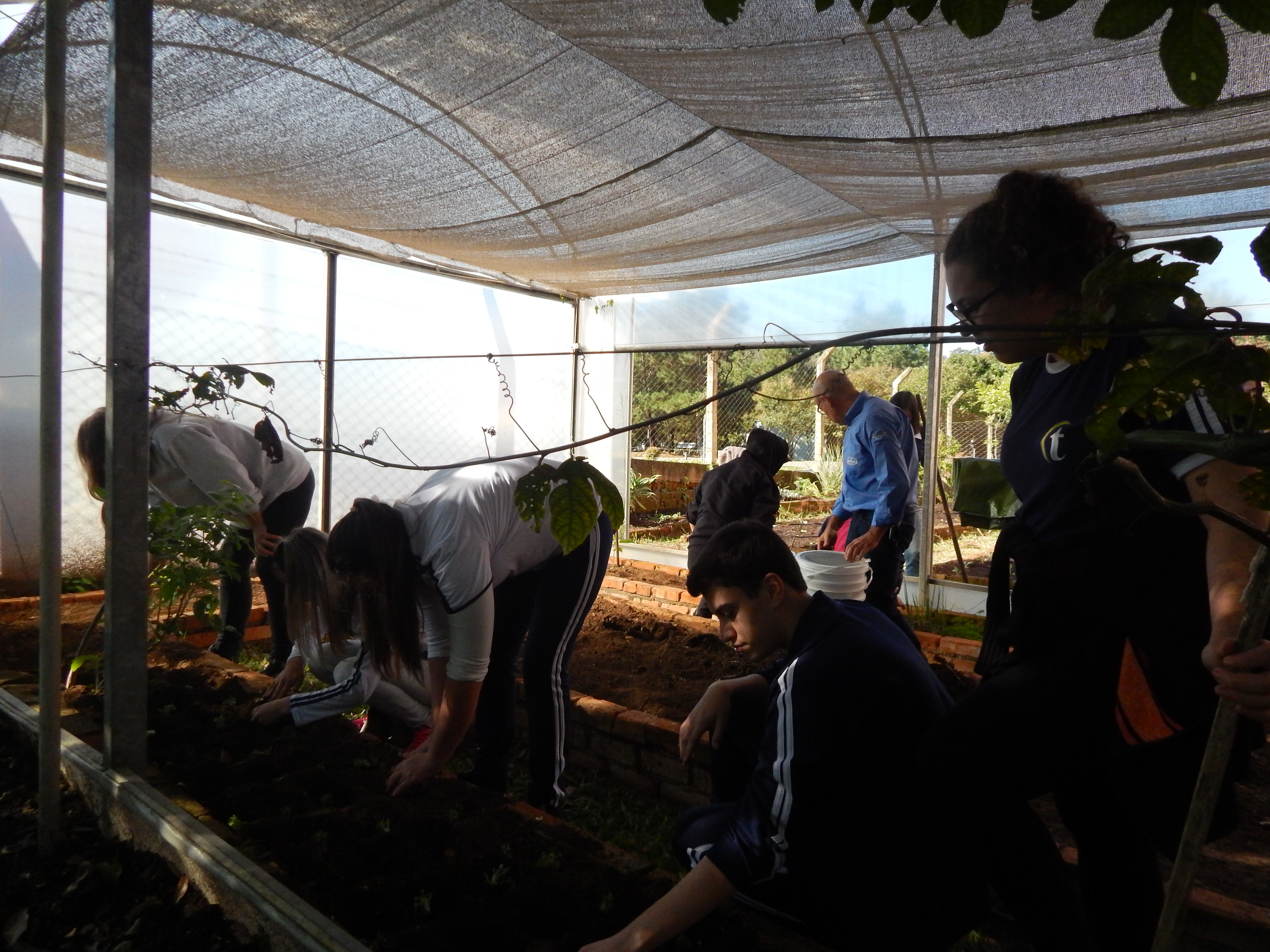 Santa Clara | Plantando o Bem