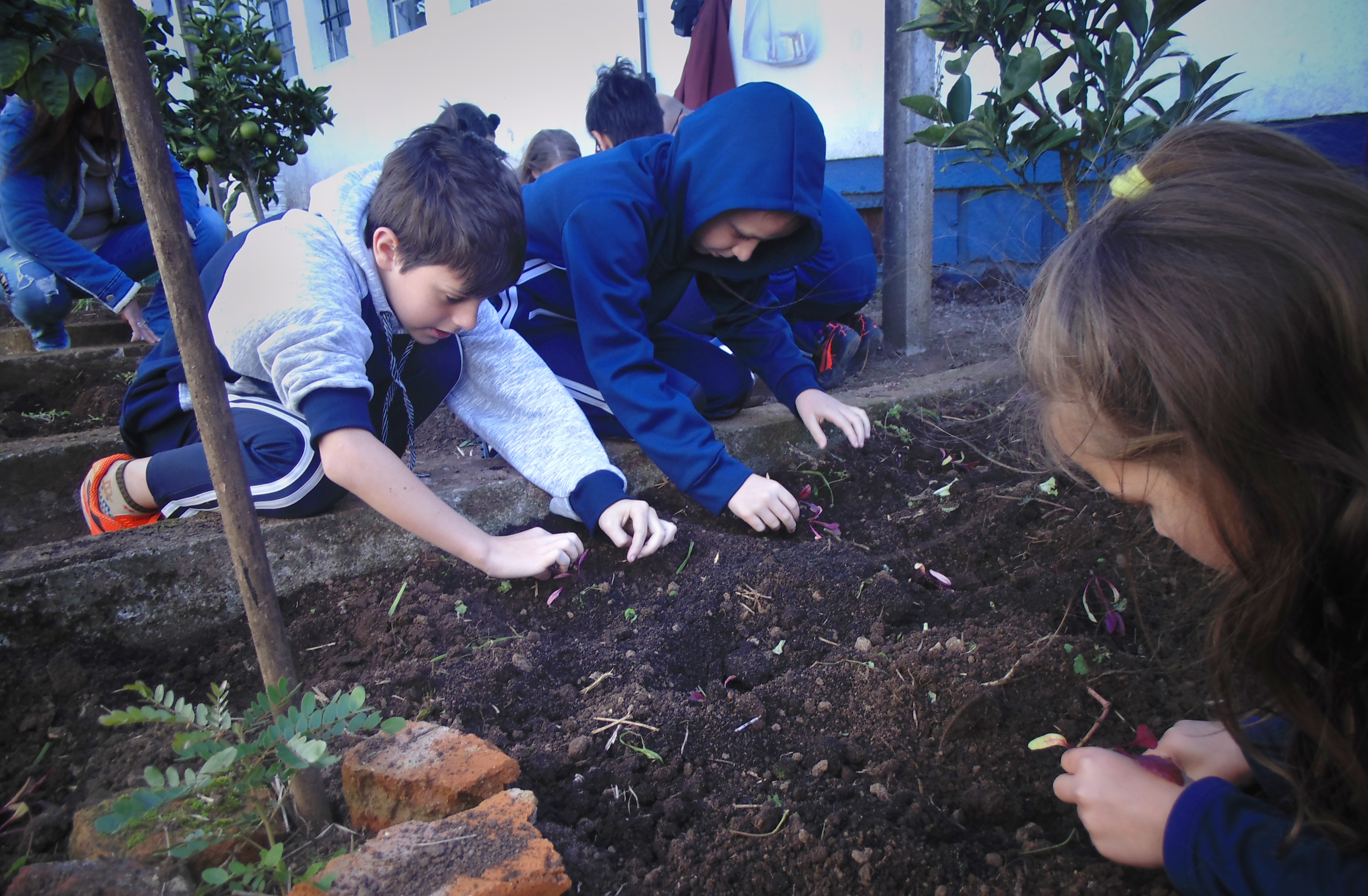 Santa Clara | Plantando o Bem