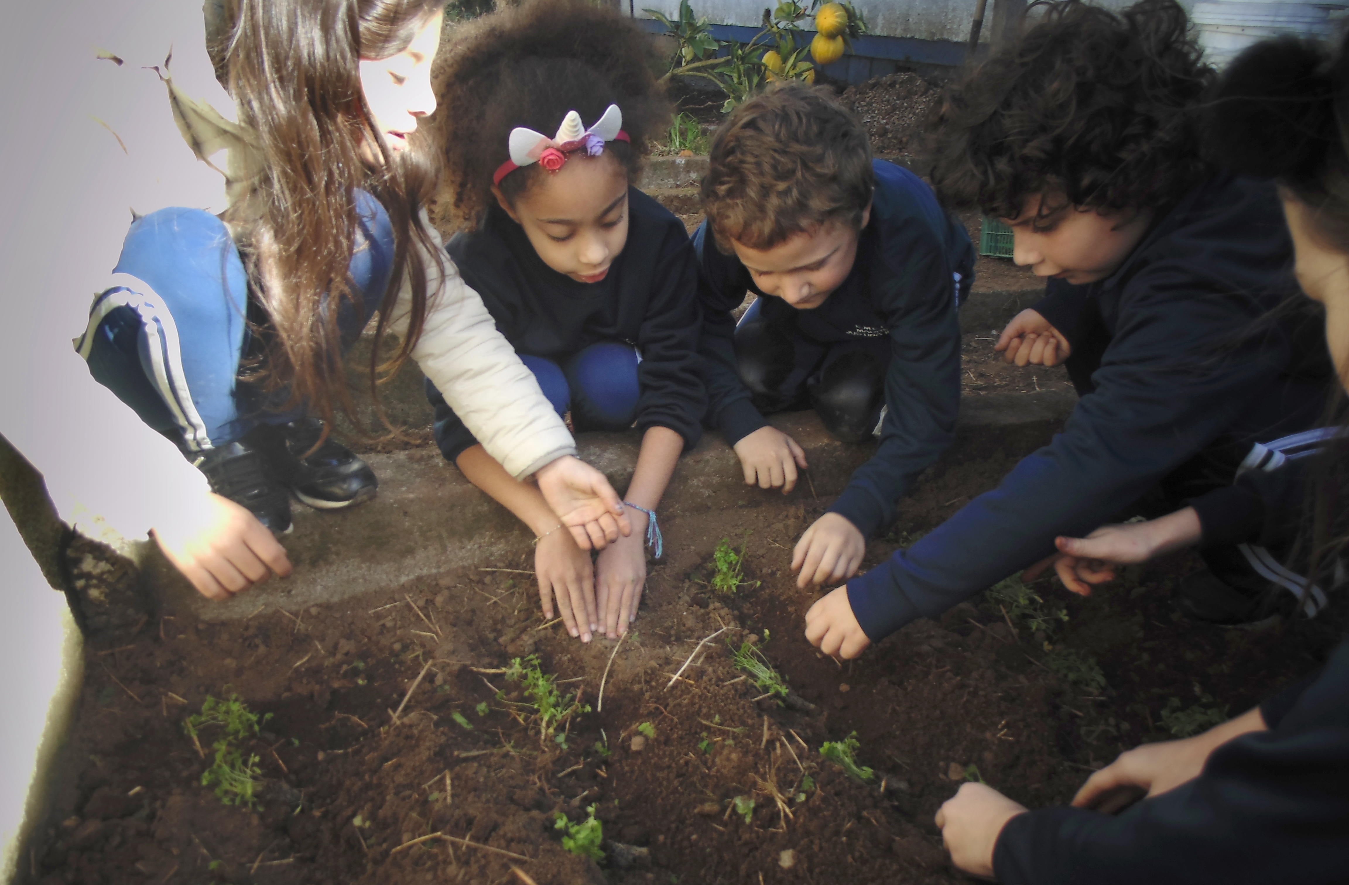 Santa Clara | Plantando o Bem