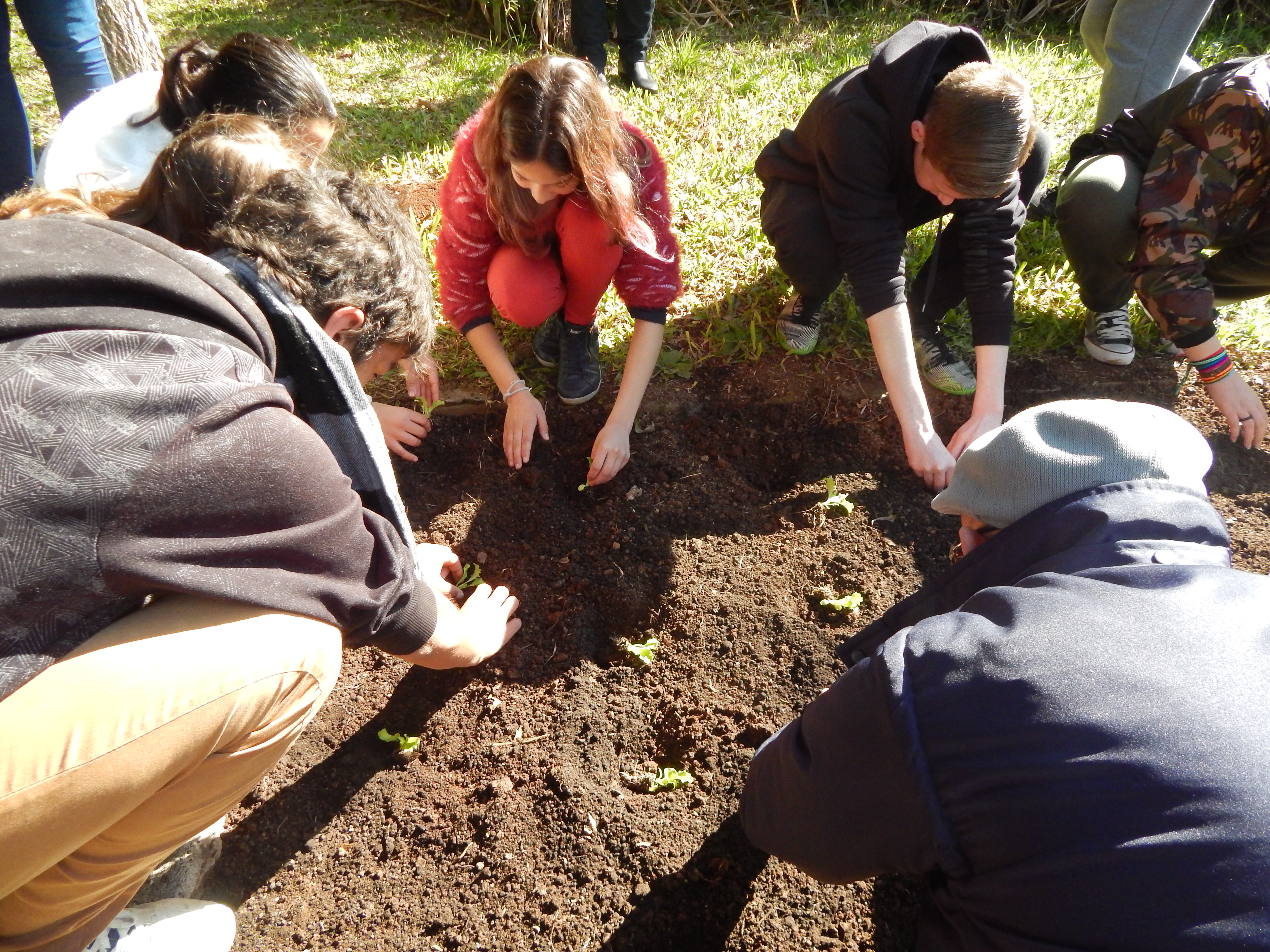 Santa Clara | Plantando o Bem