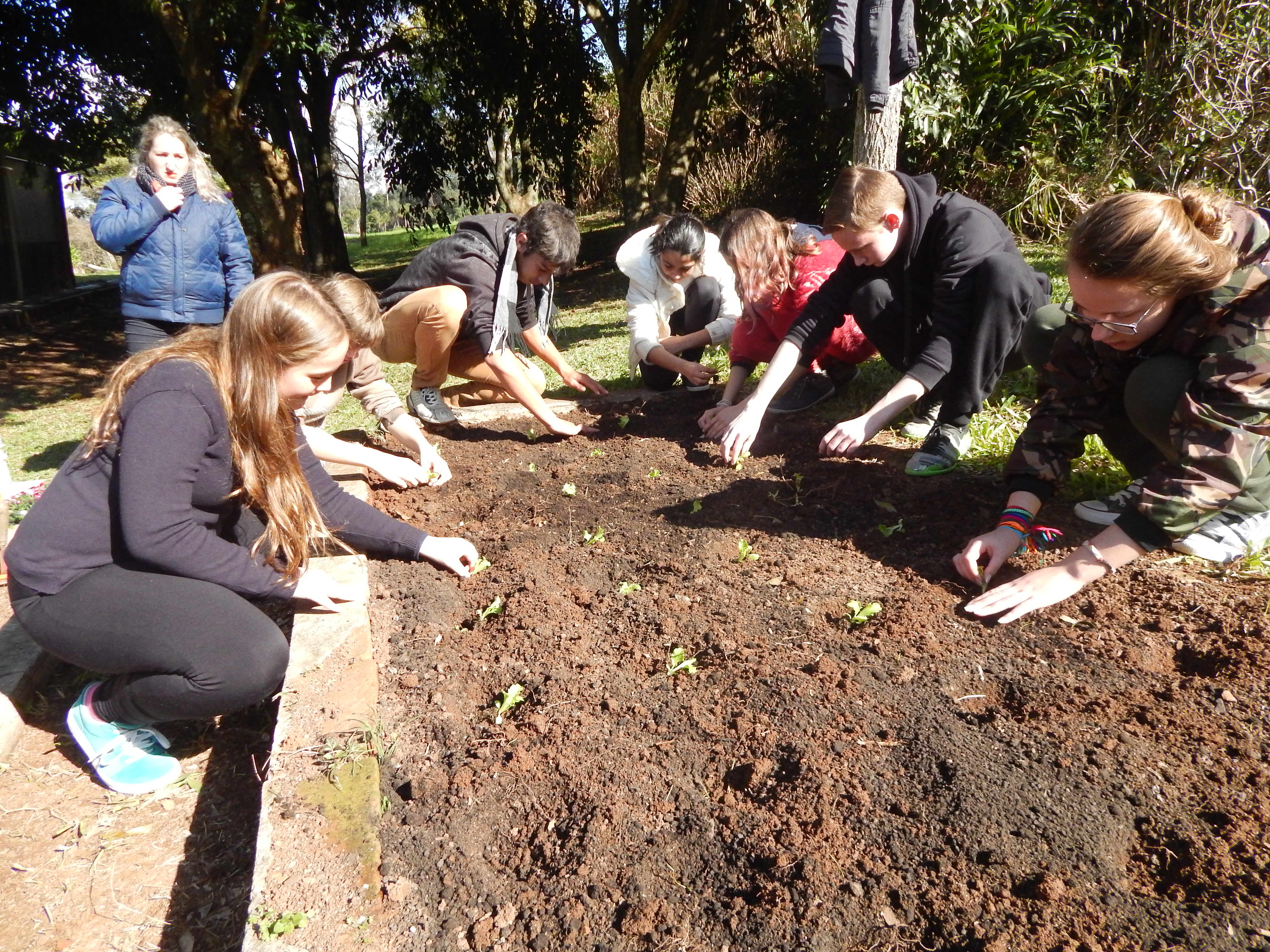 Santa Clara | Plantando o Bem