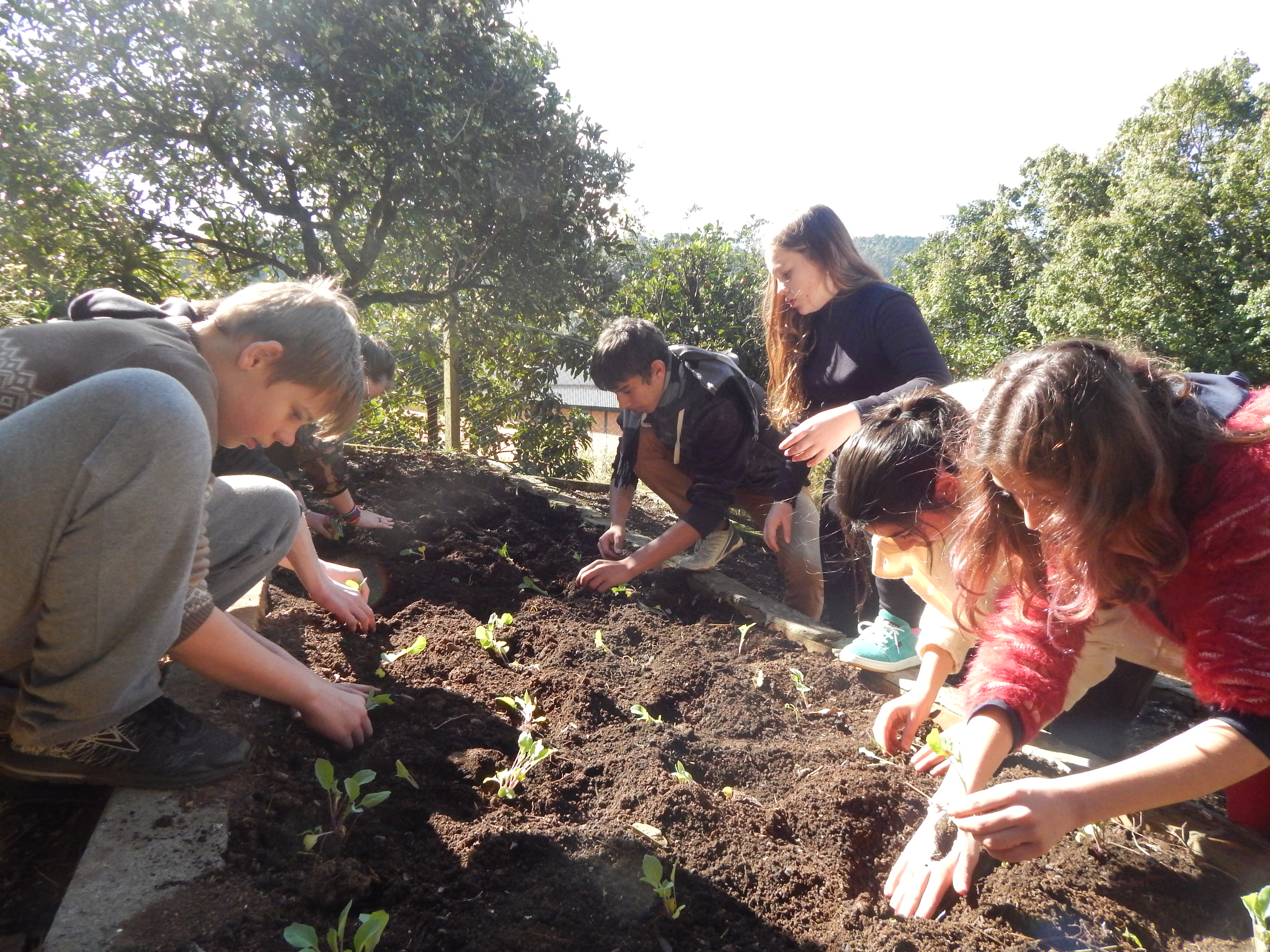 Santa Clara | Plantando o Bem