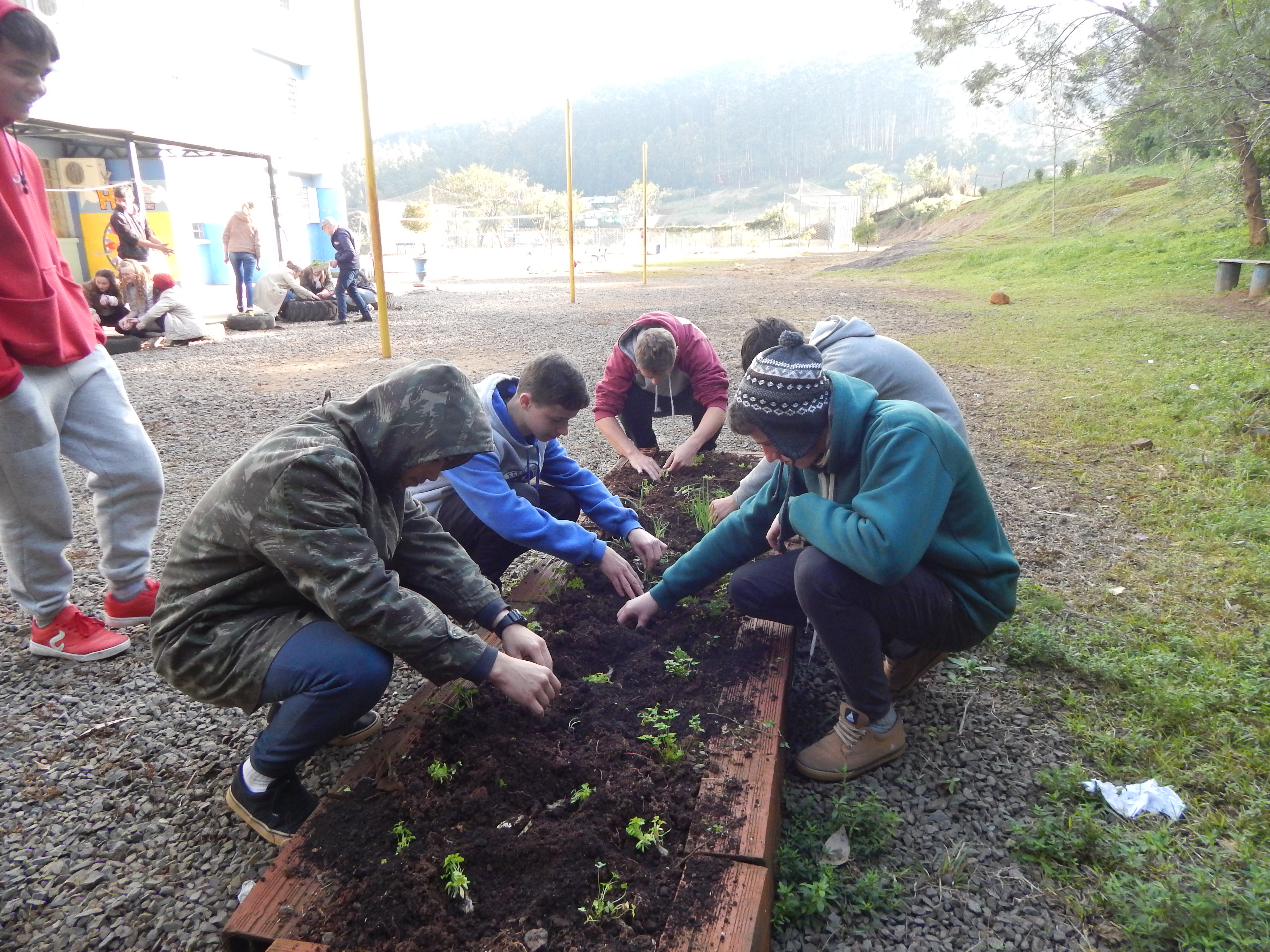 Santa Clara | Plantando o Bem