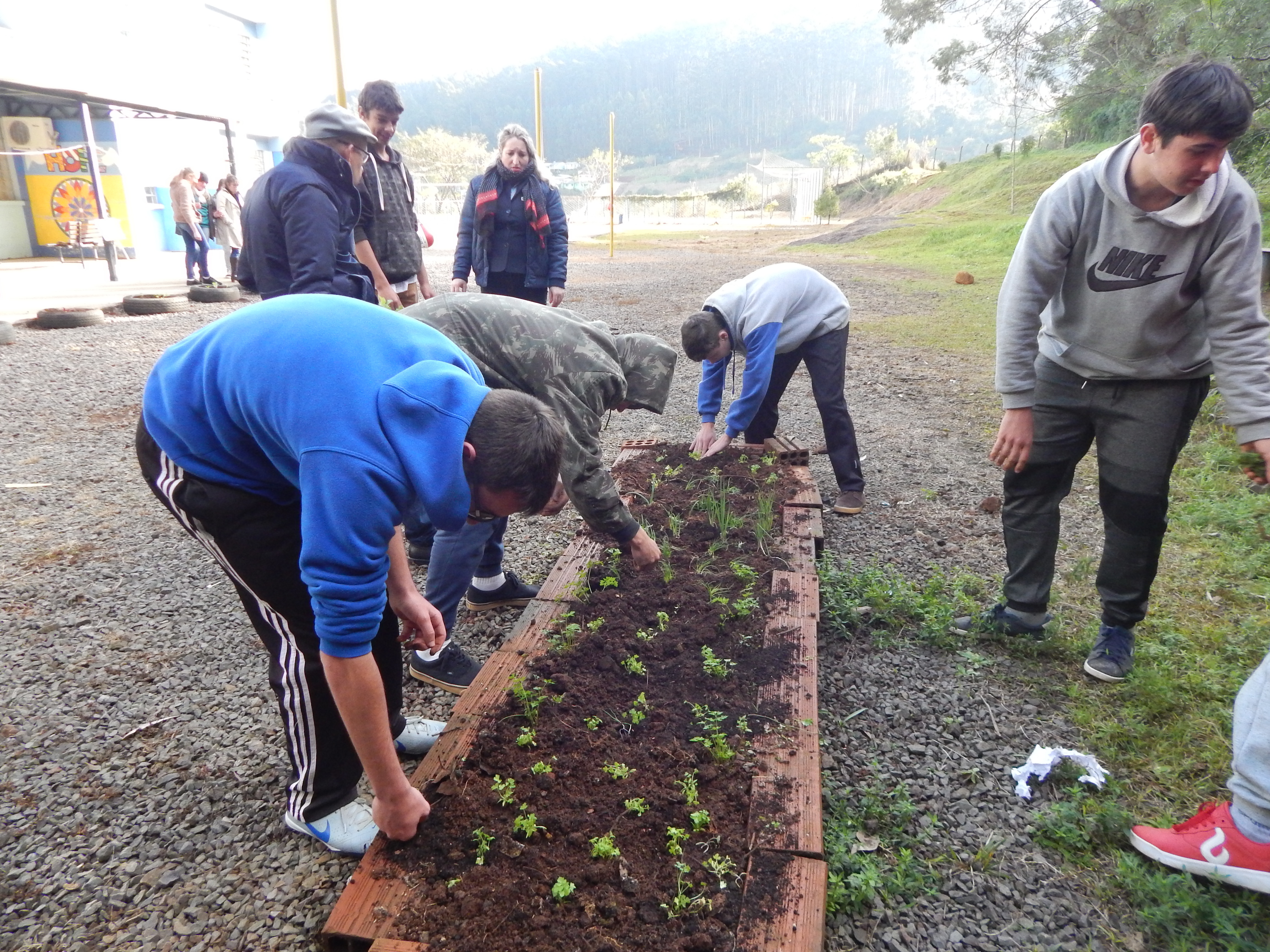 Santa Clara | Plantando o Bem