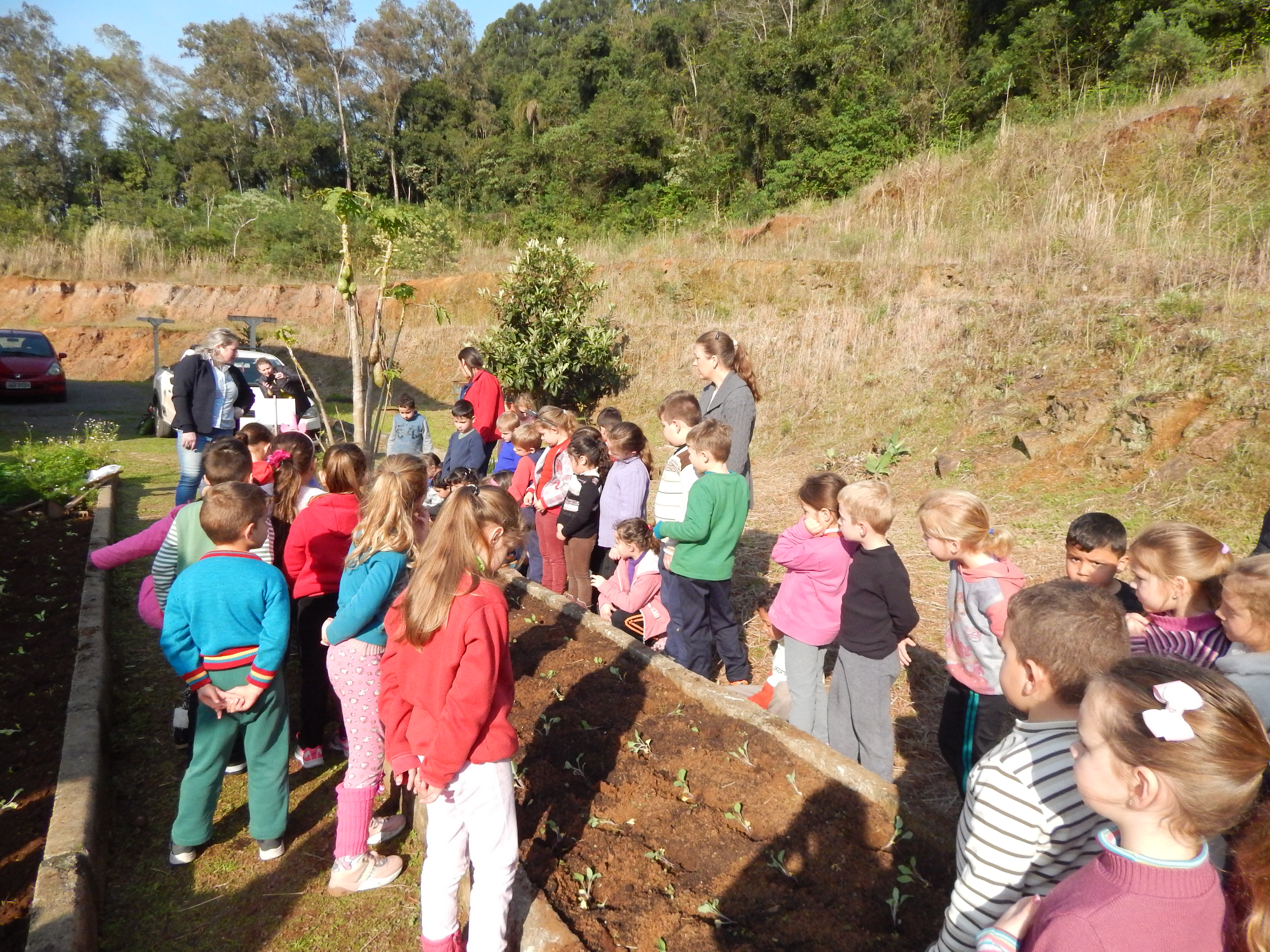 Santa Clara | Plantando o Bem